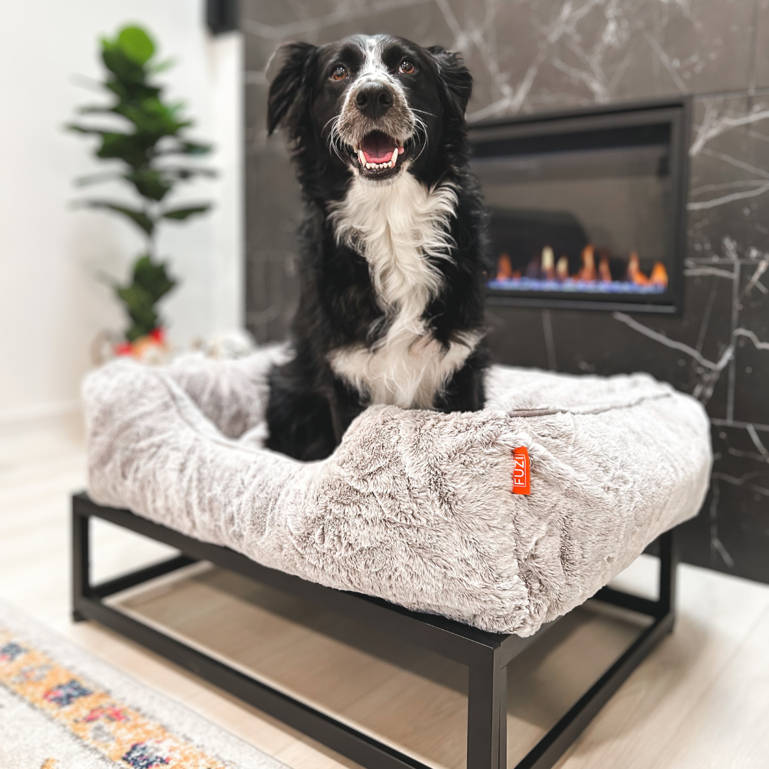 The FUZI Elevated Dog Bed