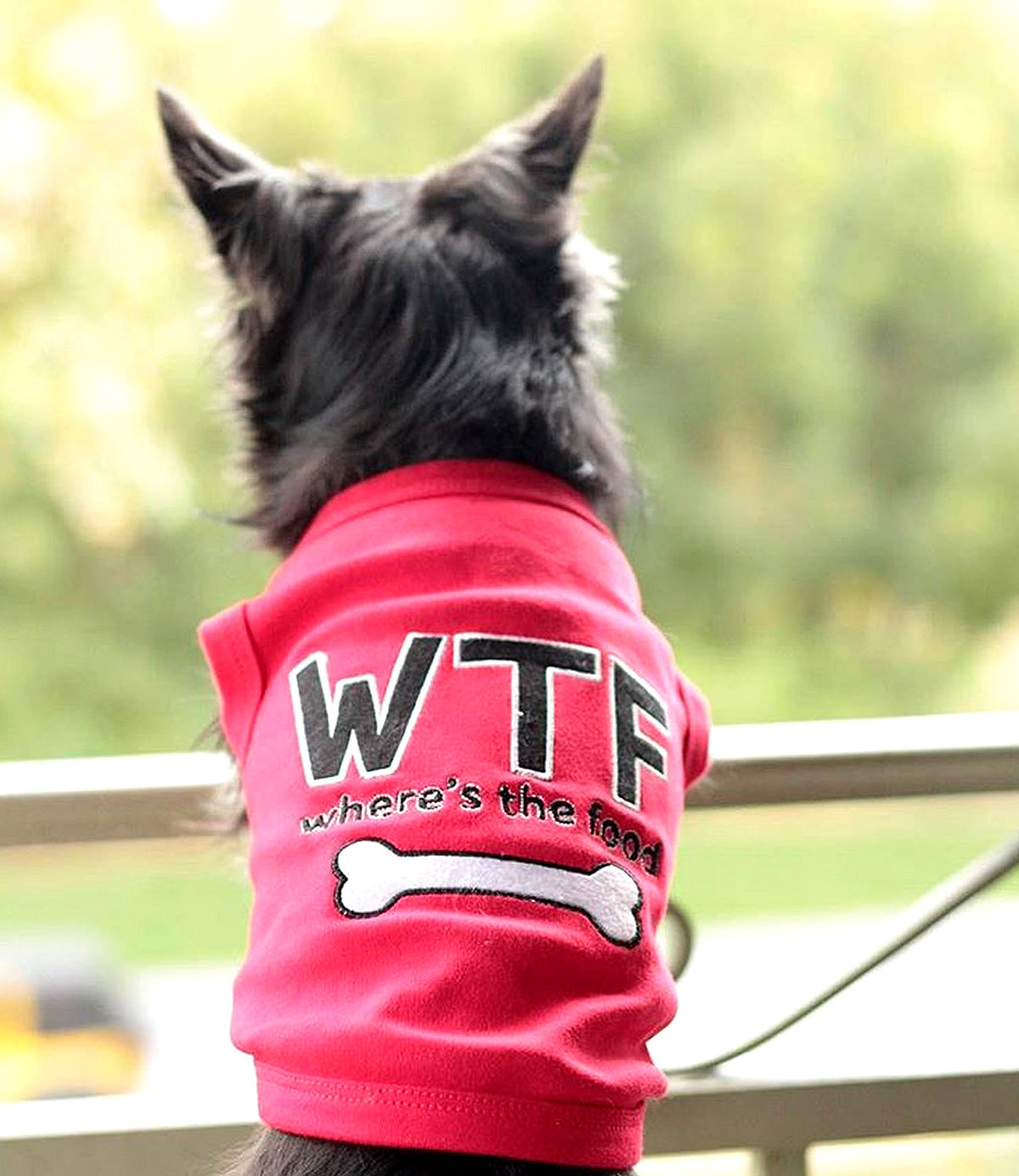 Parisian Pet WTF Pet Shirt-Red