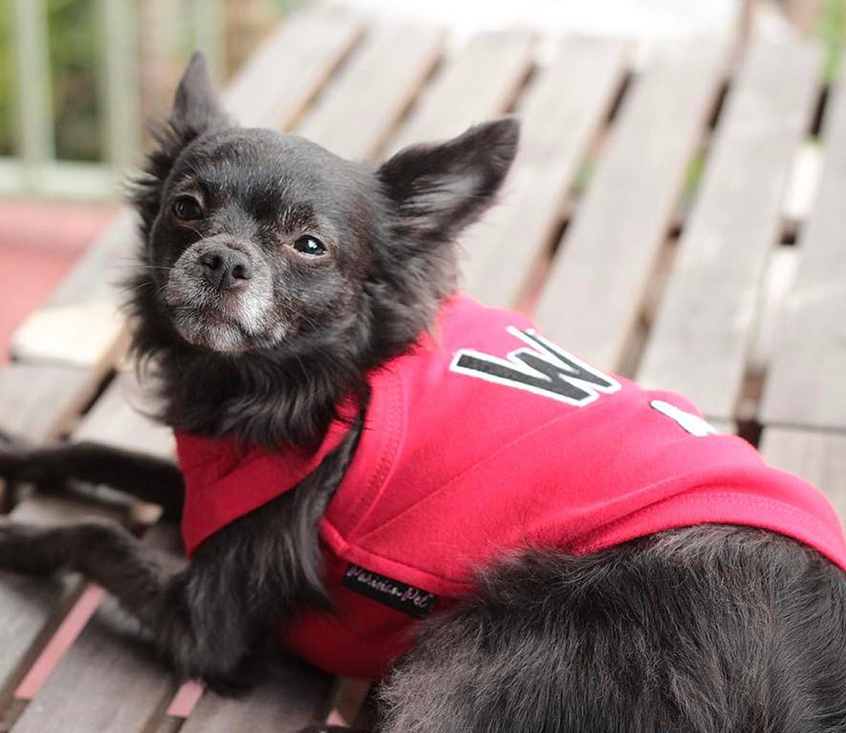 Parisian Pet WTF Pet Shirt-Red
