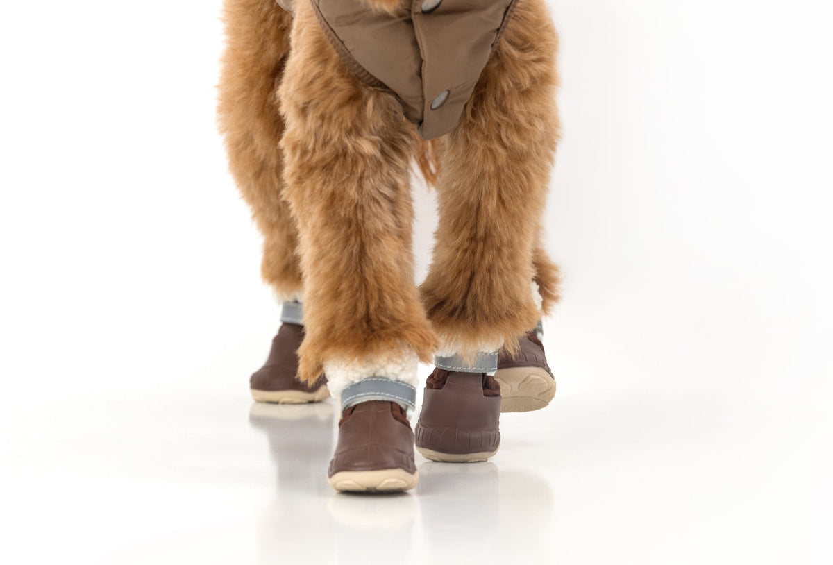 The Stassi Dog Snow Boots | HT Animal Supply