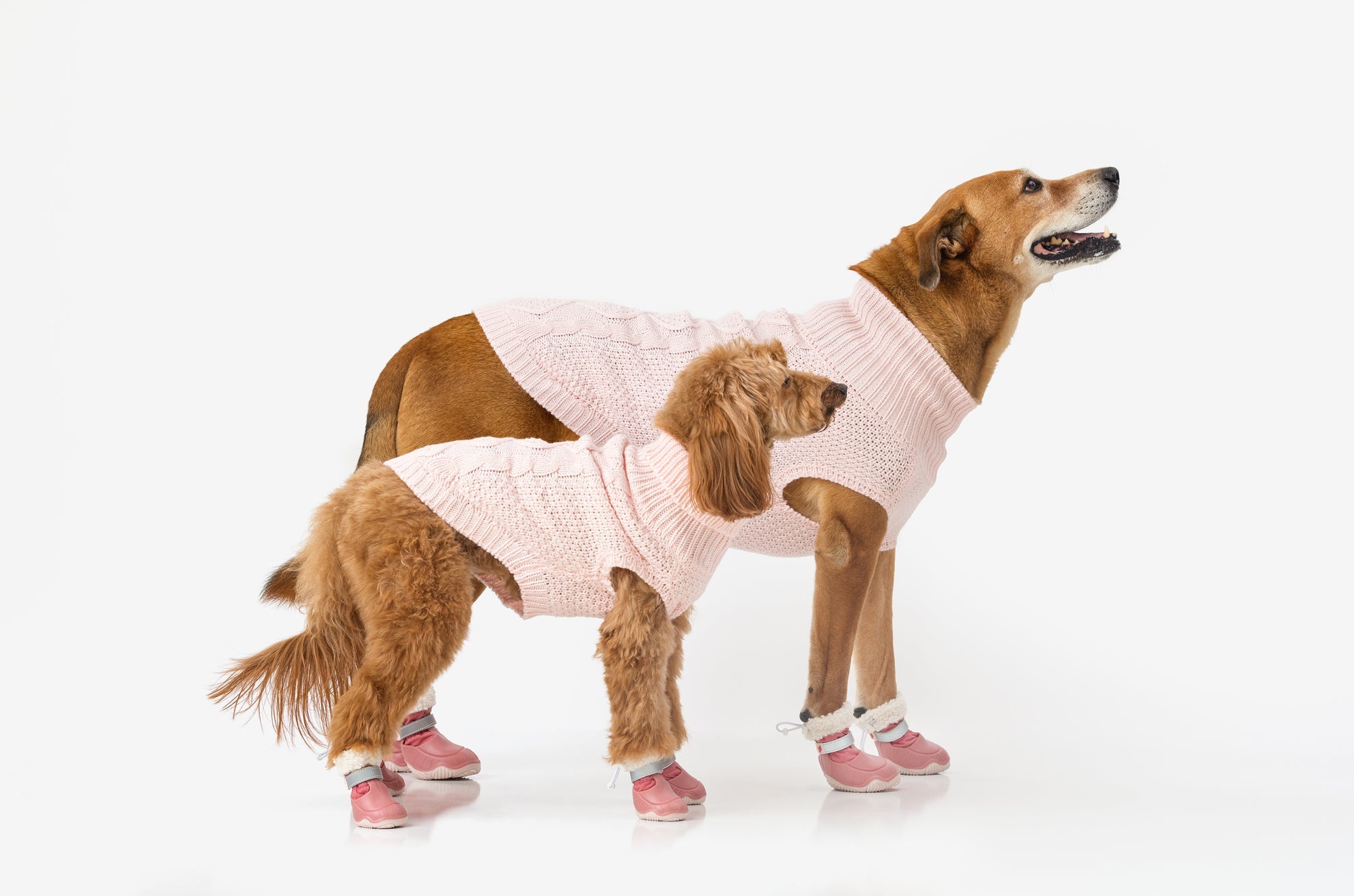 The Stassi Dog Snow Boots