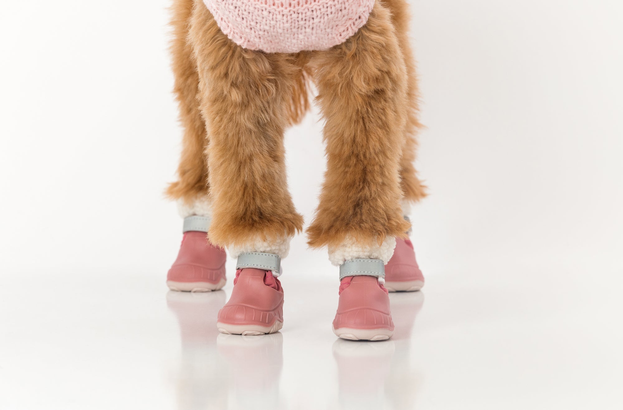 The Stassi Dog Snow Boots