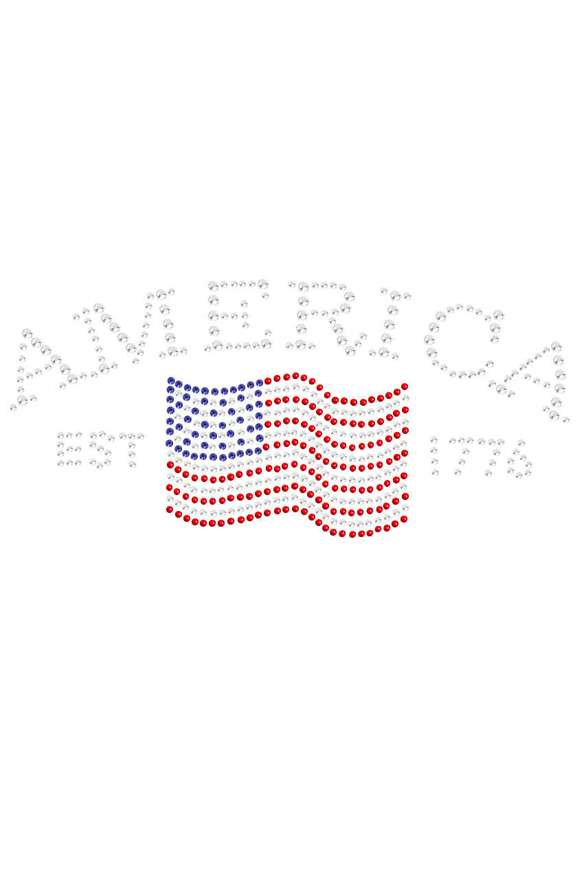 America - Womens T-shirt