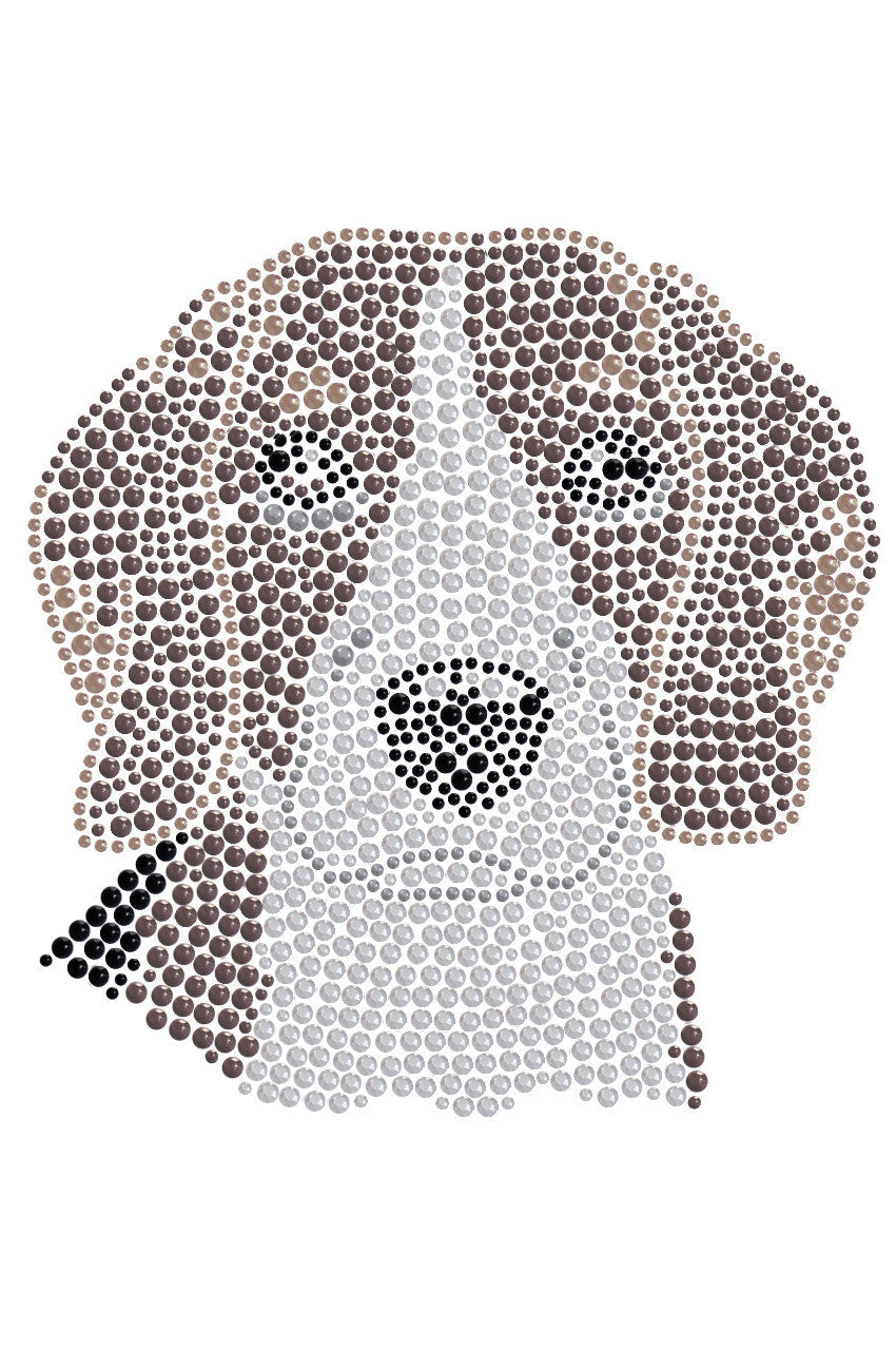 Beagle - bandana