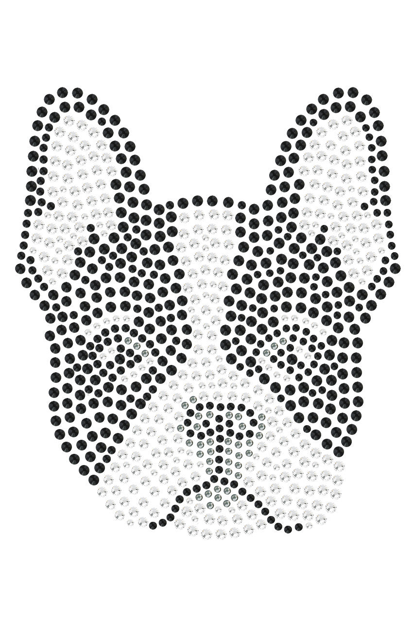 Boston Terrier - bandana