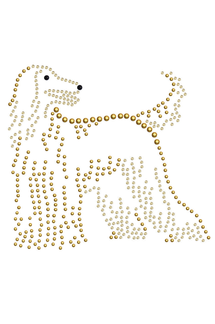 Afghan Hound - bandana