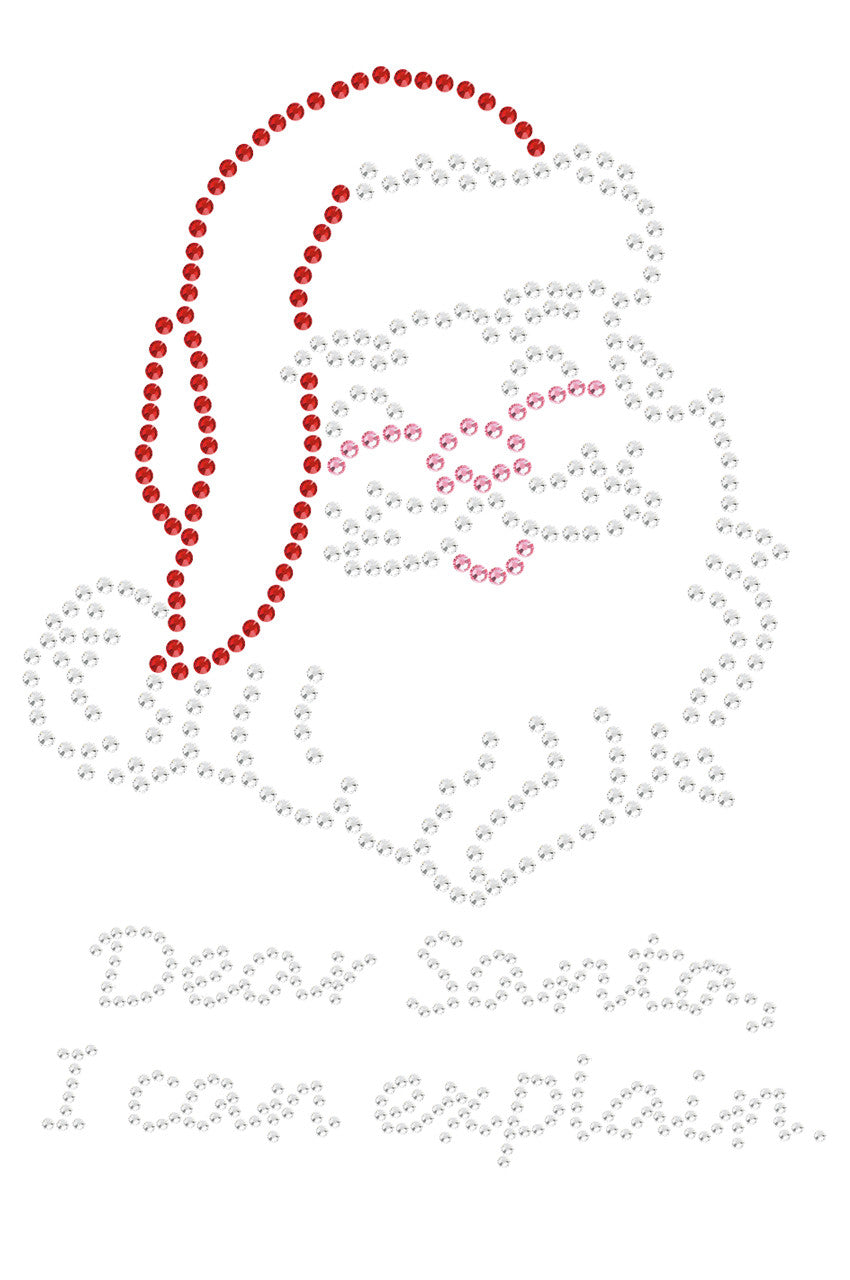 Santa Face - I Can Explain - Womens T-shirt