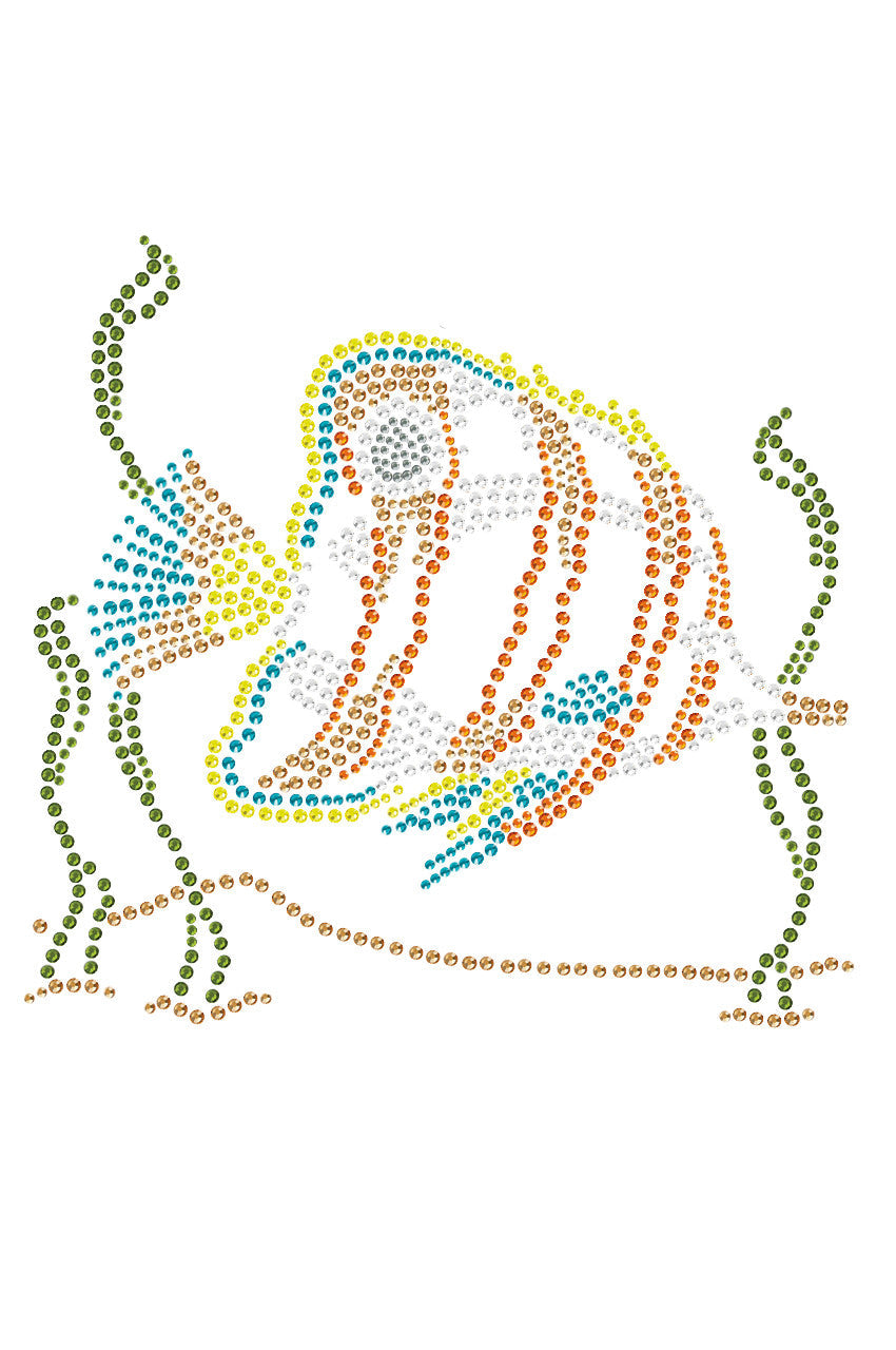 Fish (Orange & Blue) - Women's T-shirt