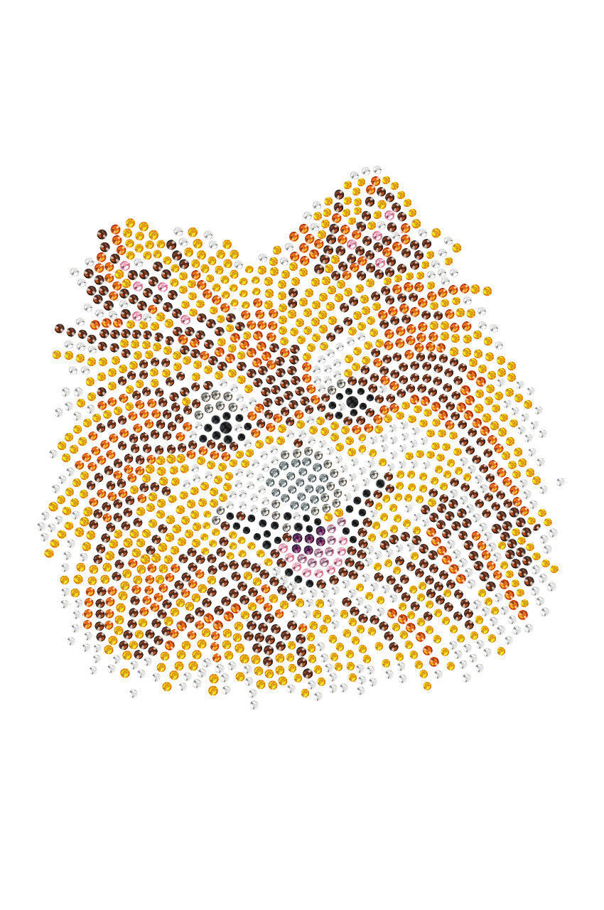 Pomeranian - bandana