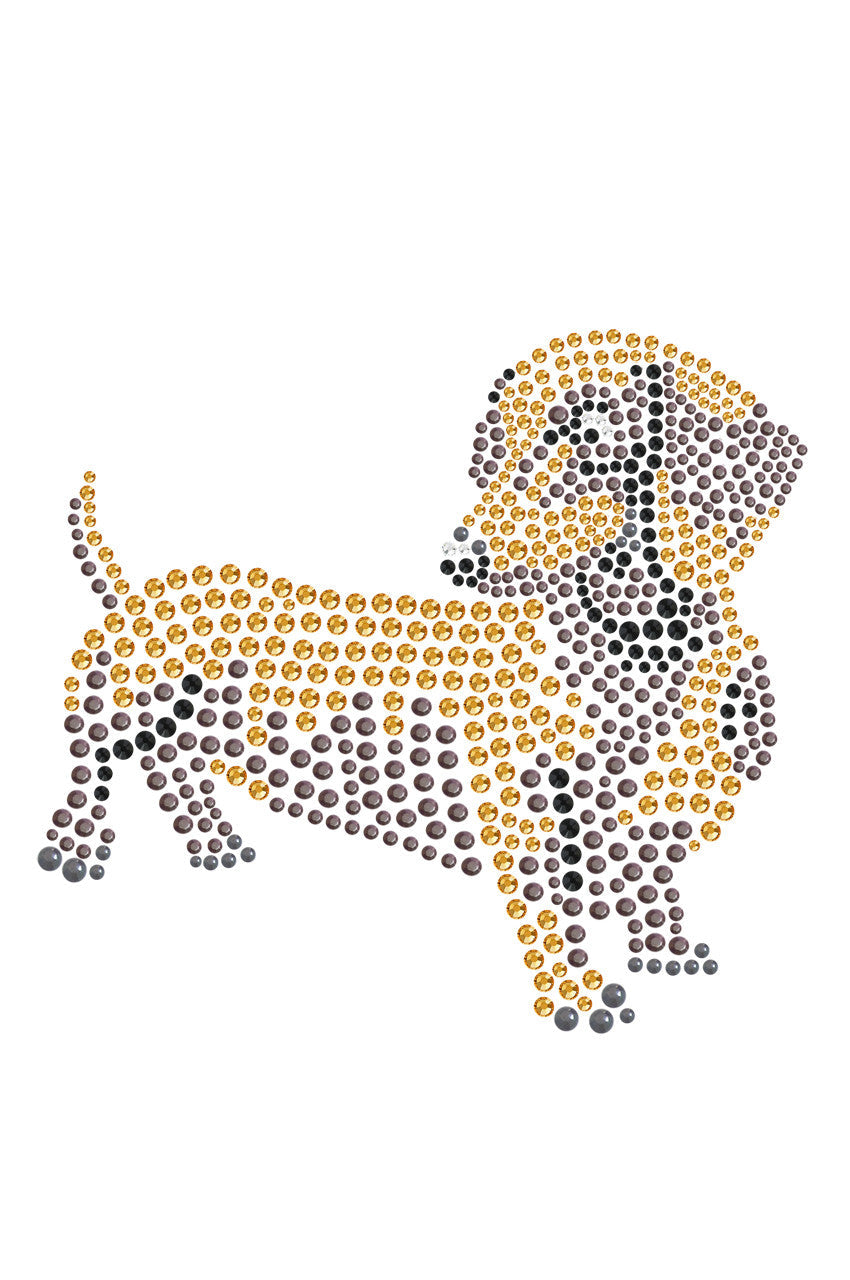 Dachshund 2 - bandana