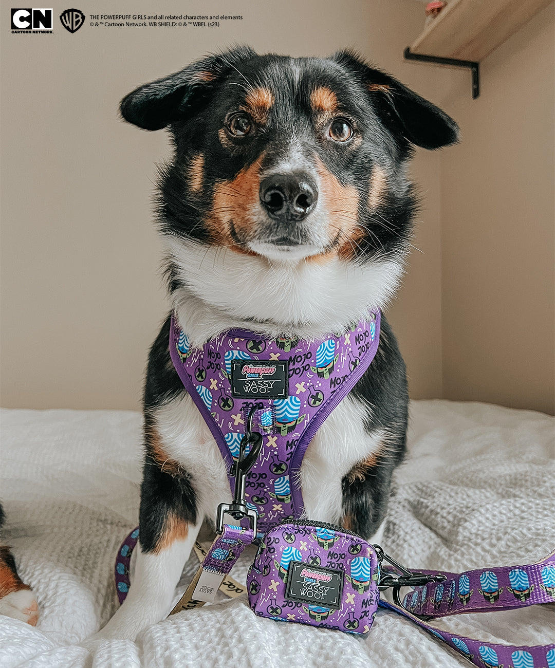 Dog Adjustable Harness - Mojo Jojo™