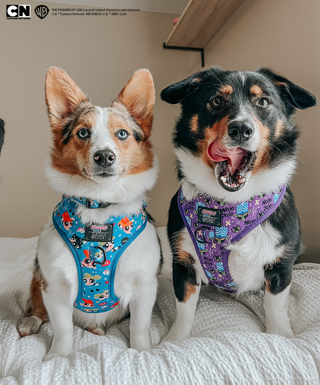 Dog Adjustable Harness - Mojo Jojo™