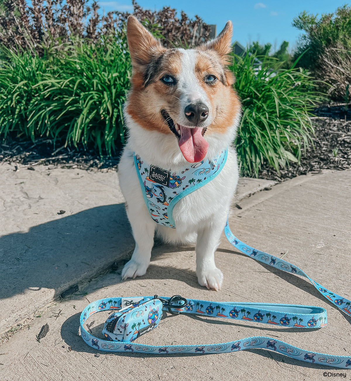 Dog Leash - Disneys Stitch