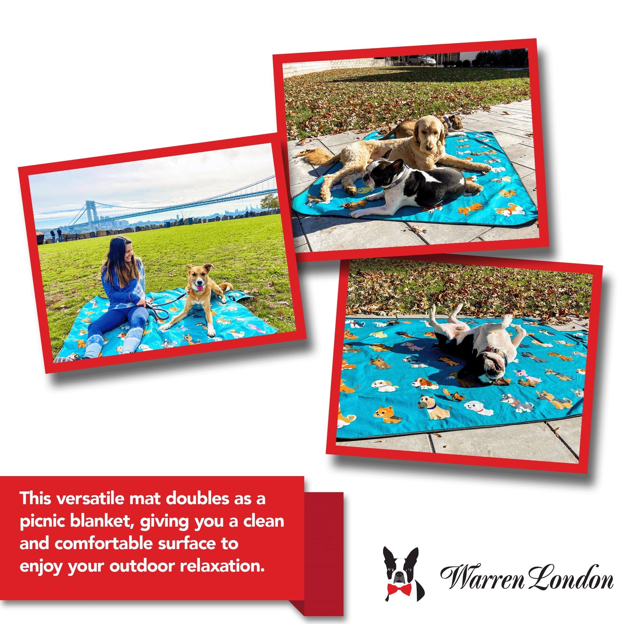 Groom n Go Grooming Blanket