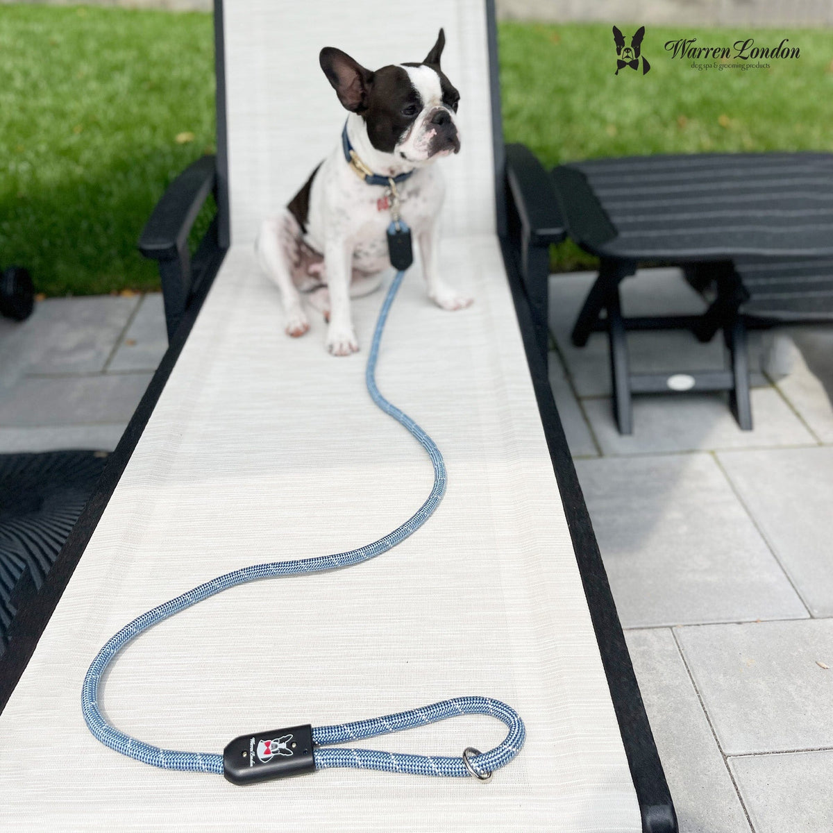 Rope Leash - Rainbow Reflective | HT Animal Supply