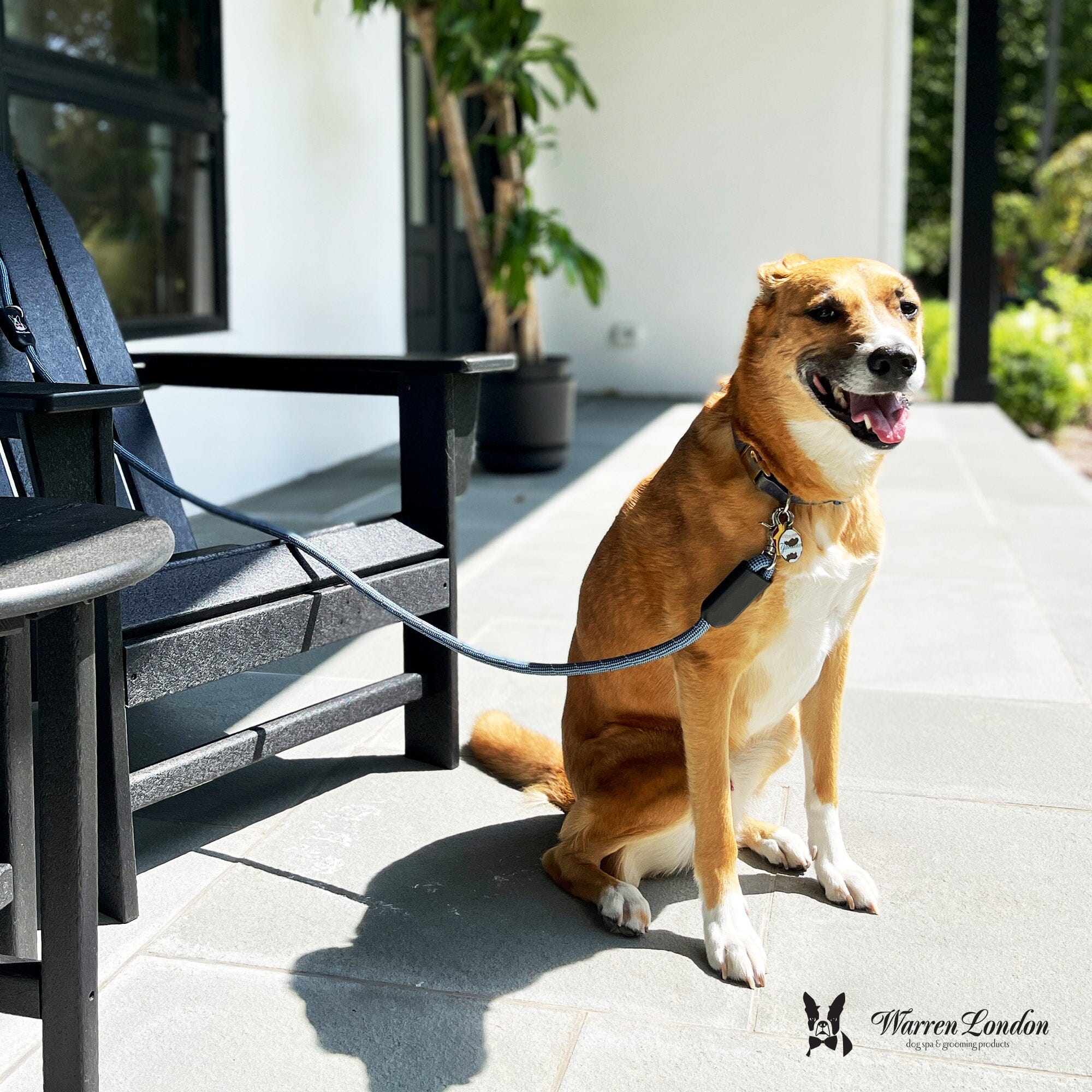 Rope Leash - Blue Reflective