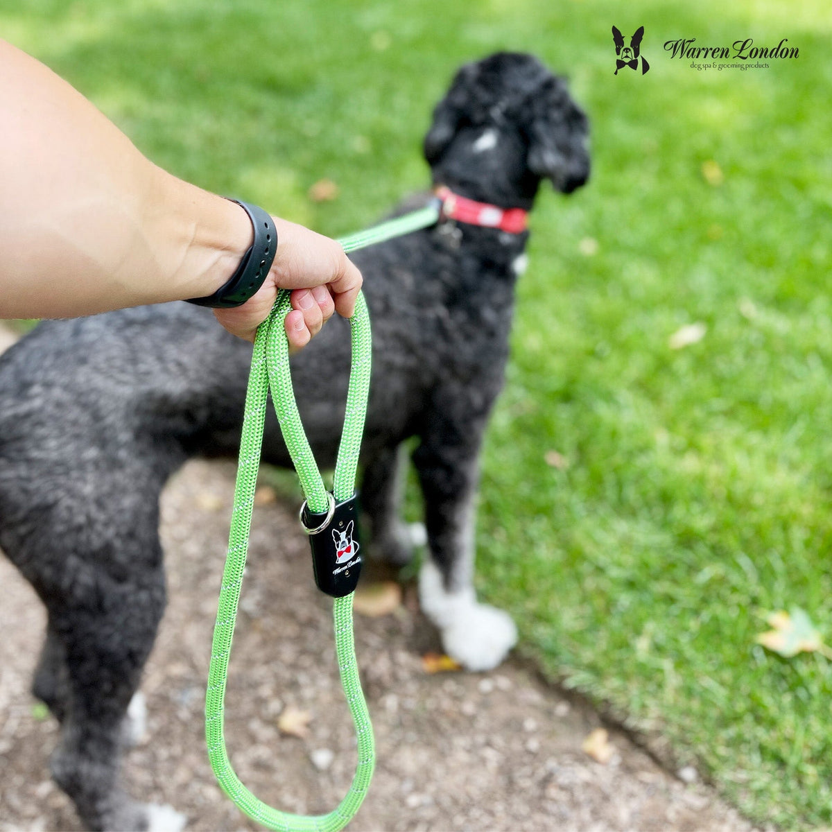 Rope Leash - Rainbow Reflective | HT Animal Supply