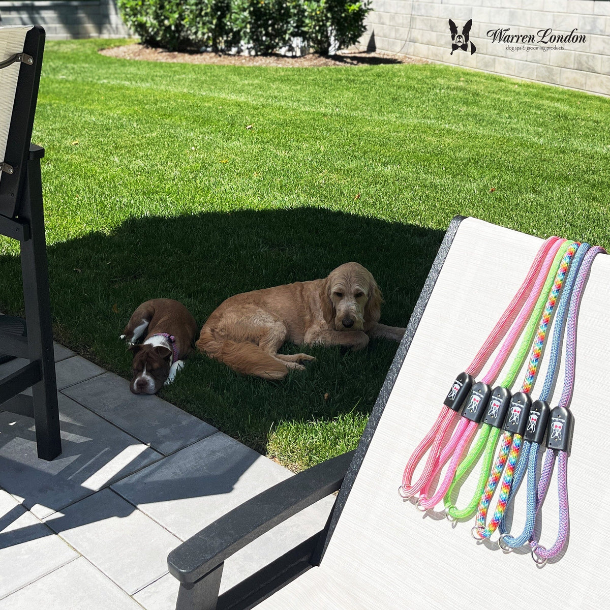 Rope Leash - Rainbow Reflective | HT Animal Supply