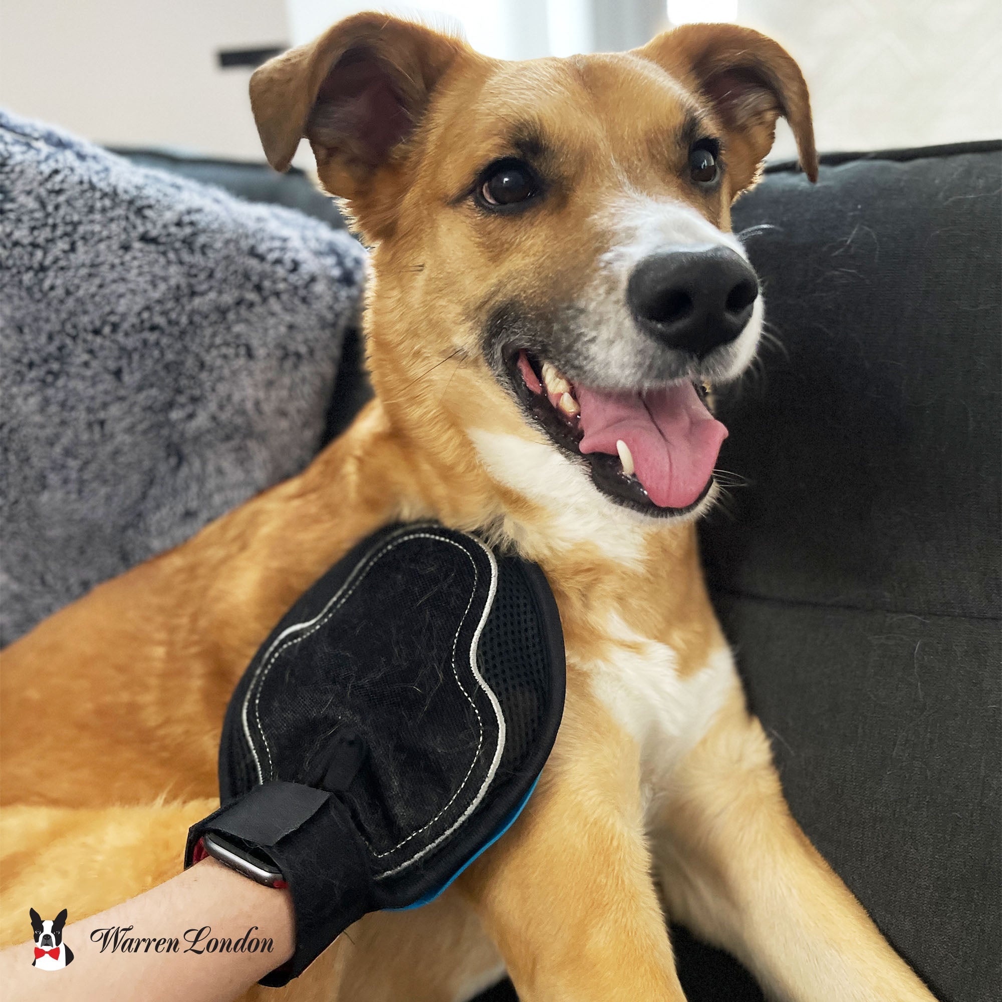 9 in 1 Pet Grooming Glove for Dogs & Cats - Double Sided