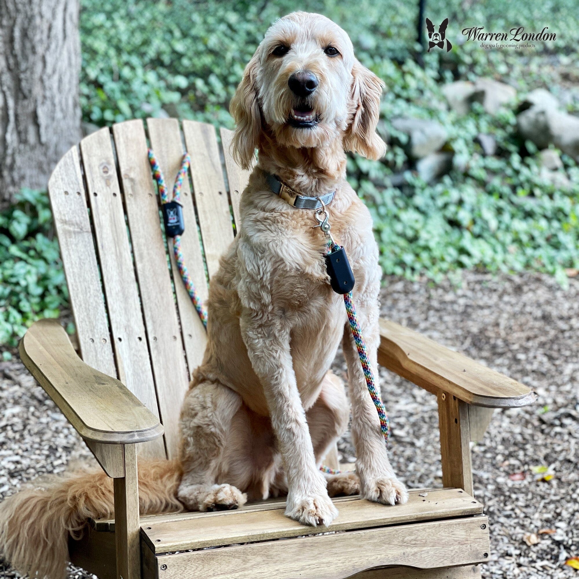 Rope Leash - Rainbow Reflective