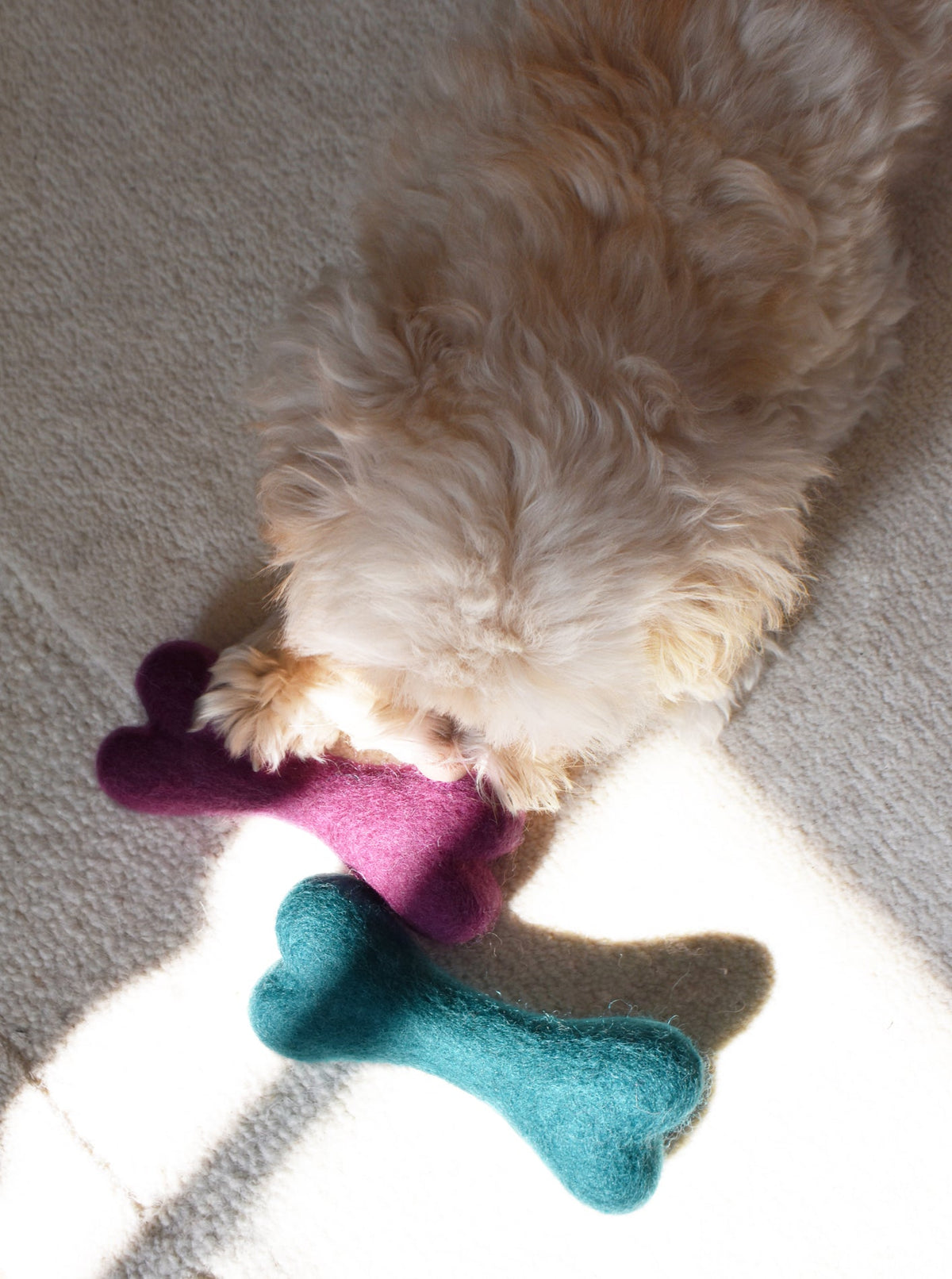 MB WOOLBONE | HT Animal Supply