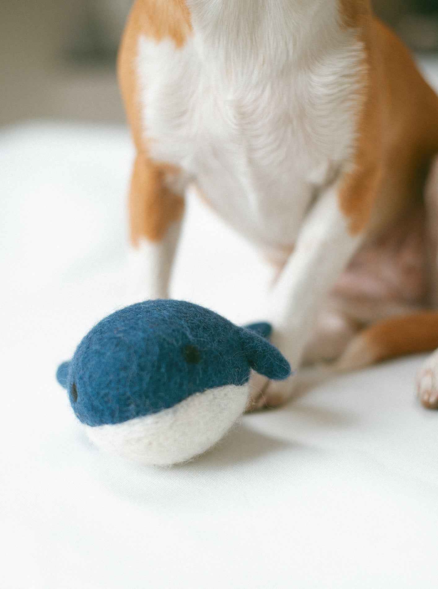Whale Wool Dog Toy