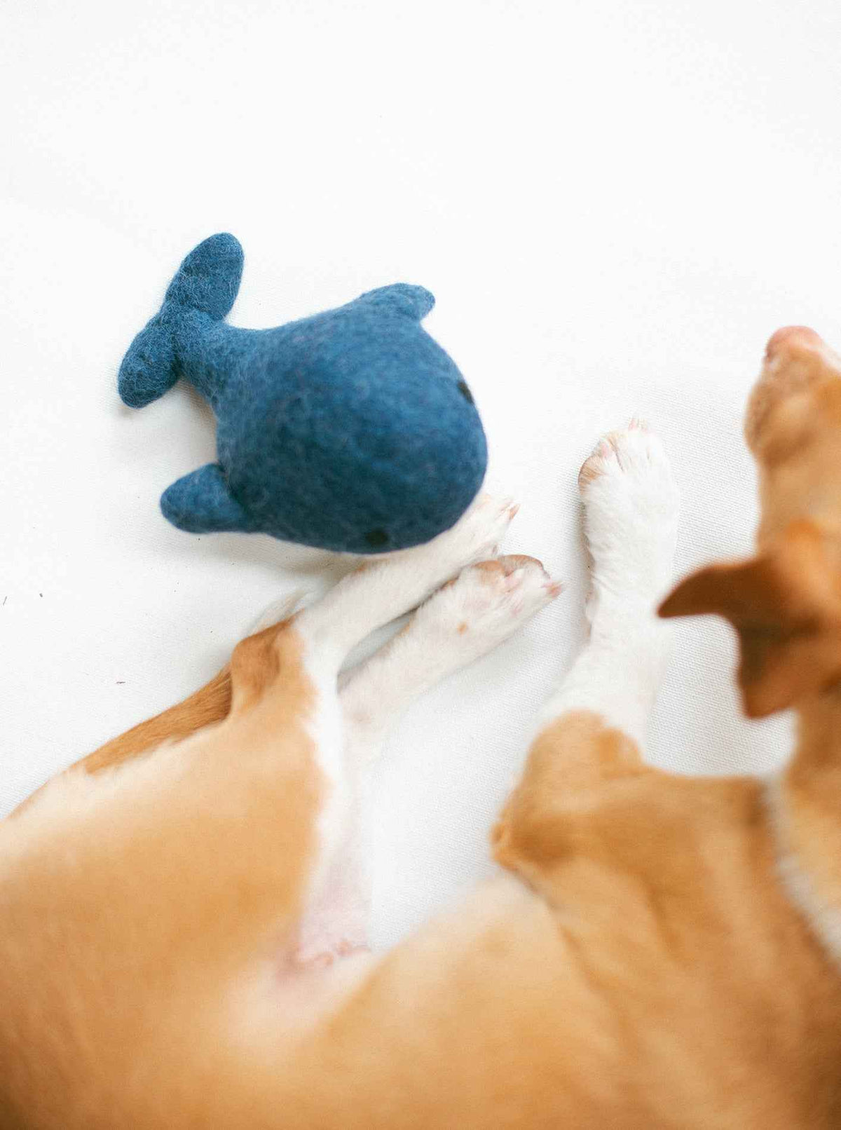 Whale Wool Dog Toy