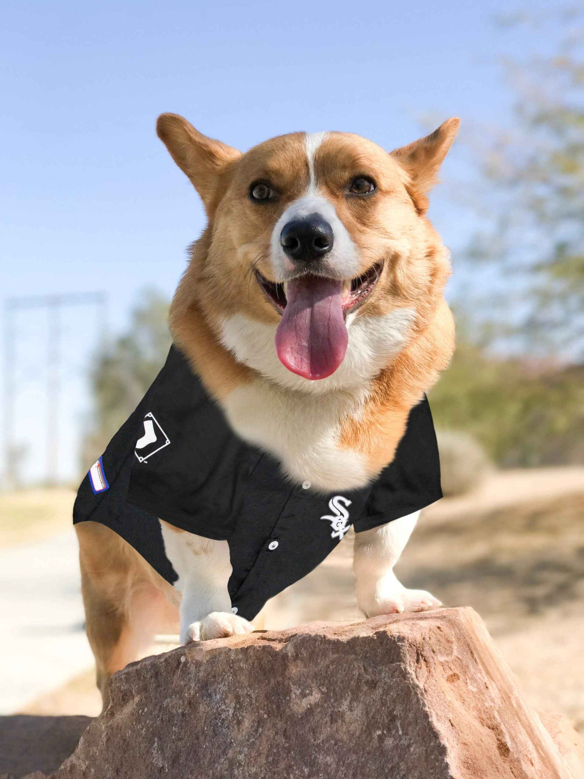 MLB Chicago White Sox Mesh Pet Jersey