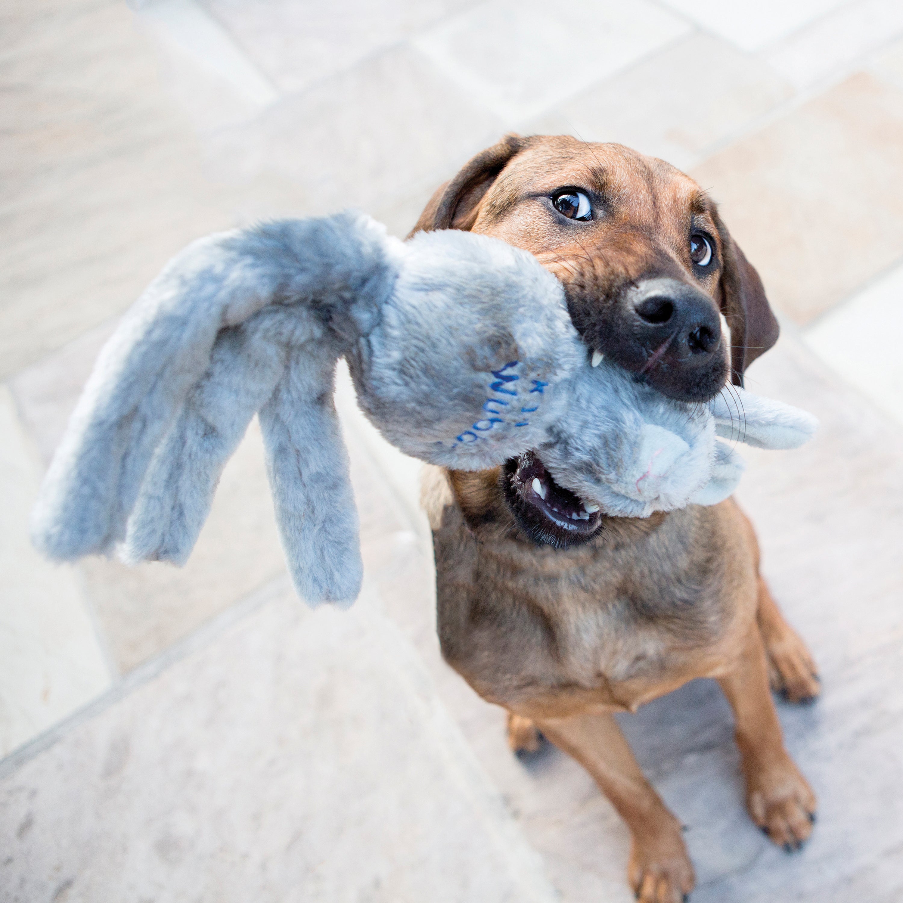 Kong Wubba Friends - HT Animal Supply
