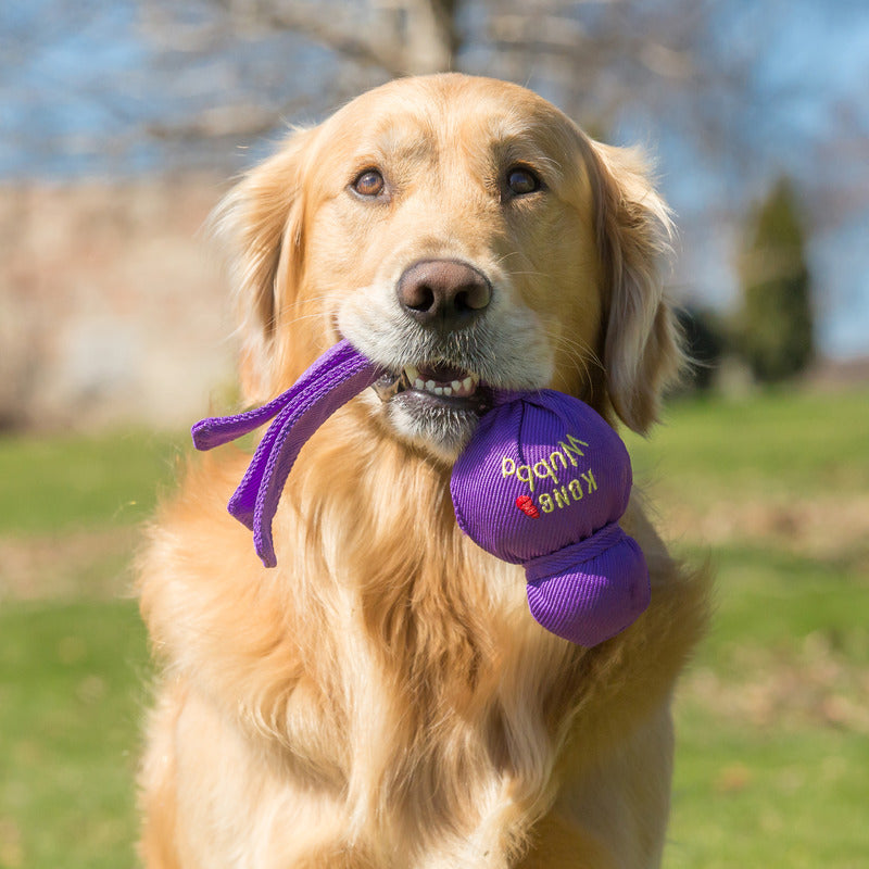Kong Wubba - HT Animal Supply