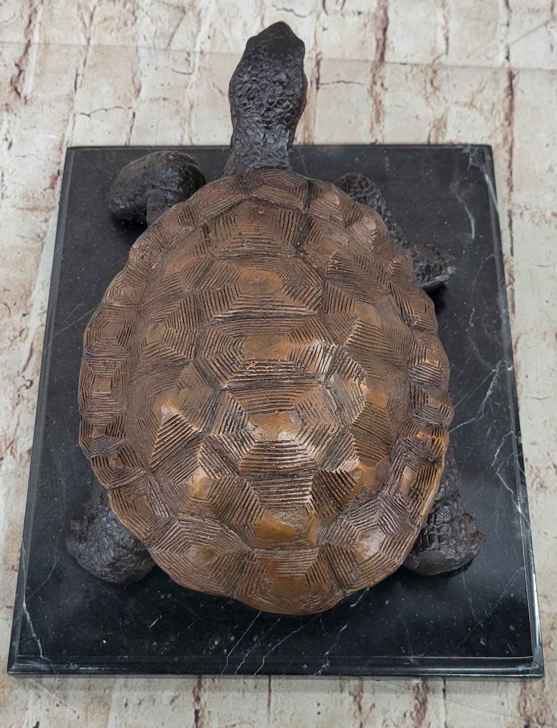 Limited Edition Bronze Tortoise Turtle Life Size Sculpture Statue Figure