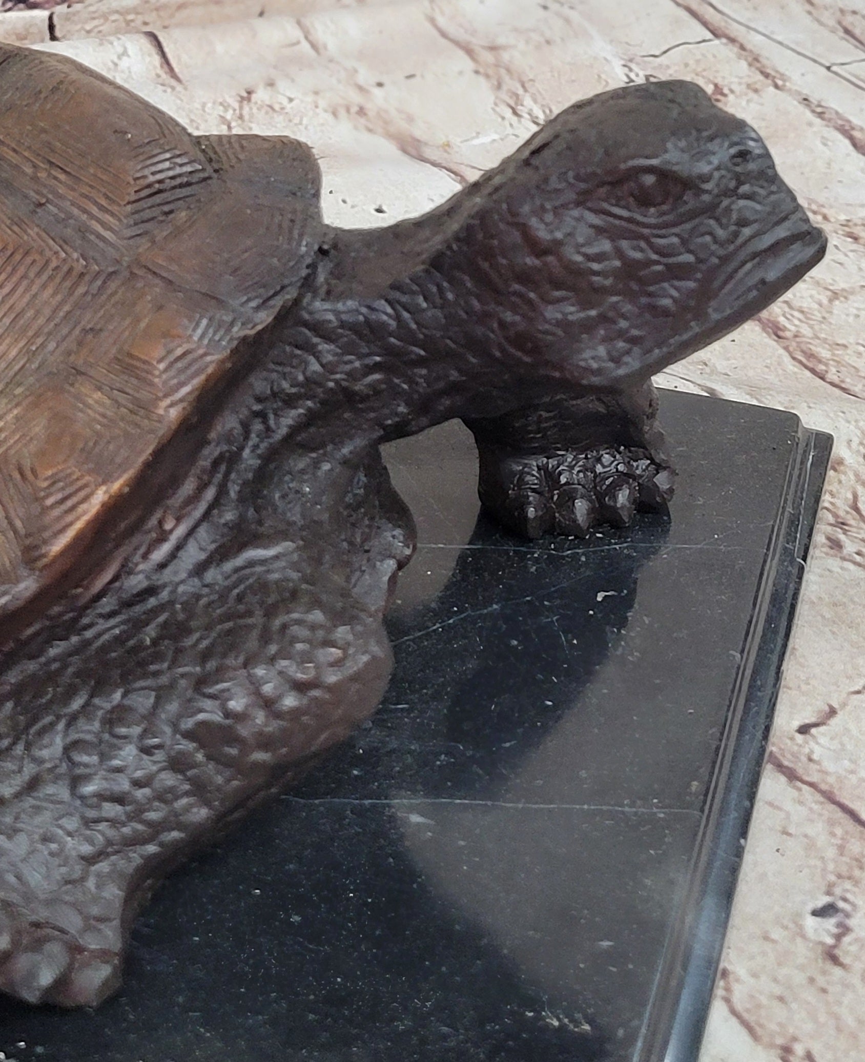 Limited Edition Bronze Tortoise Turtle Life Size Sculpture Statue Figure