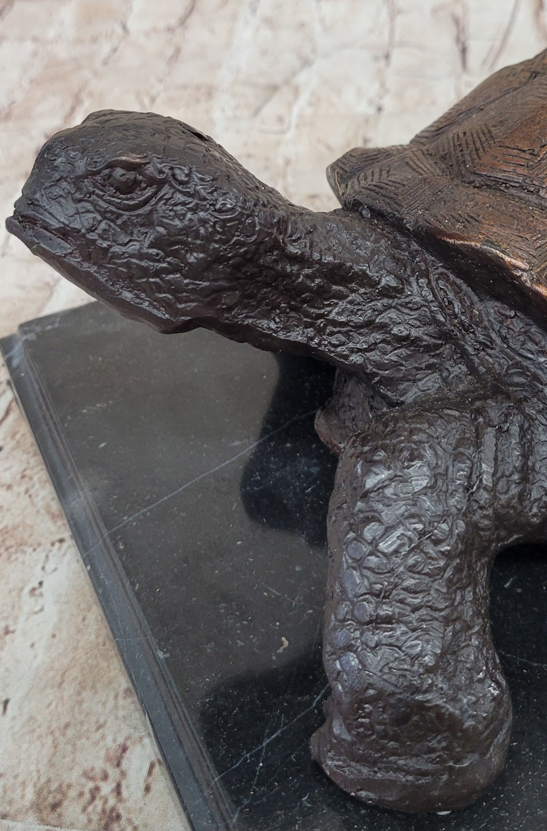 Limited Edition Bronze Tortoise Turtle Life Size Sculpture Statue Figure