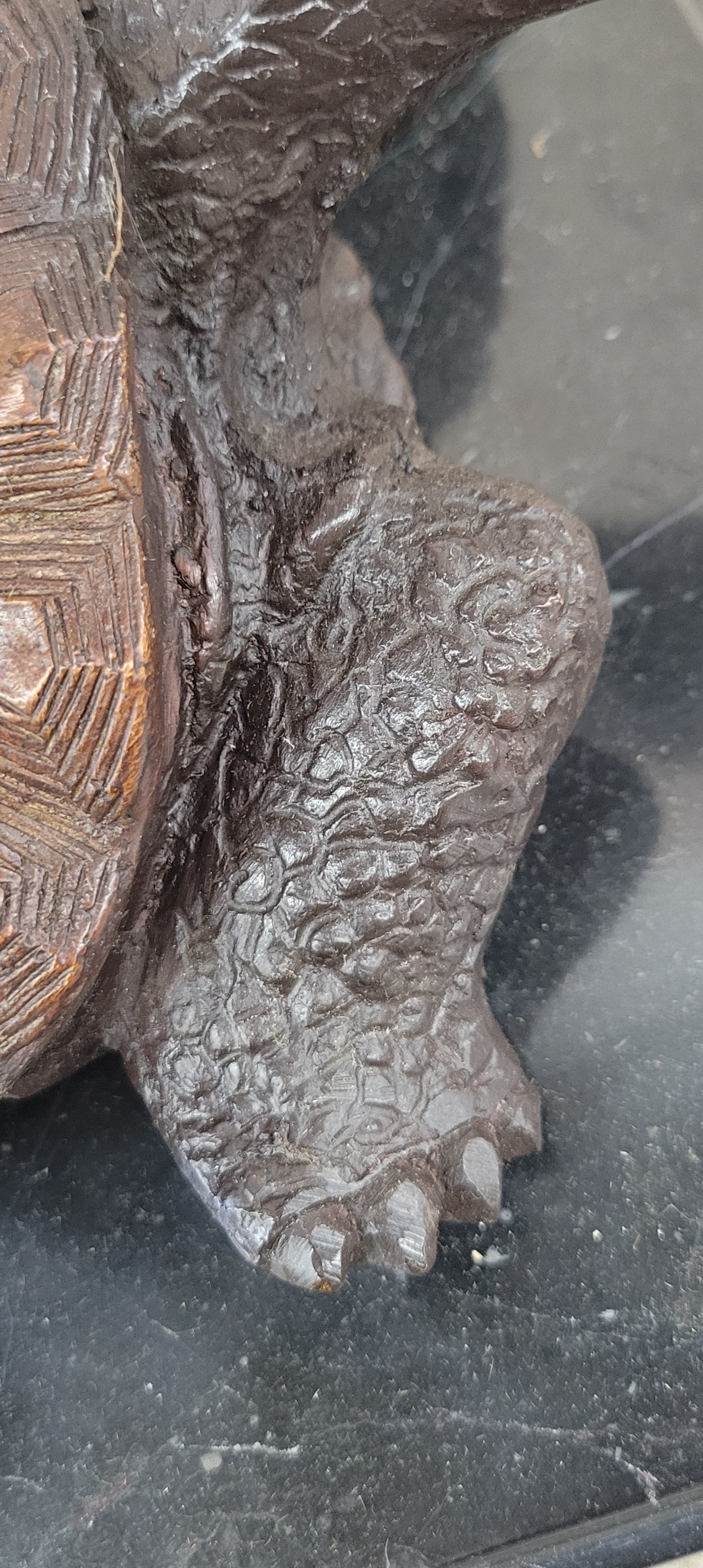 Limited Edition Bronze Tortoise Turtle Life Size Sculpture Statue Figure