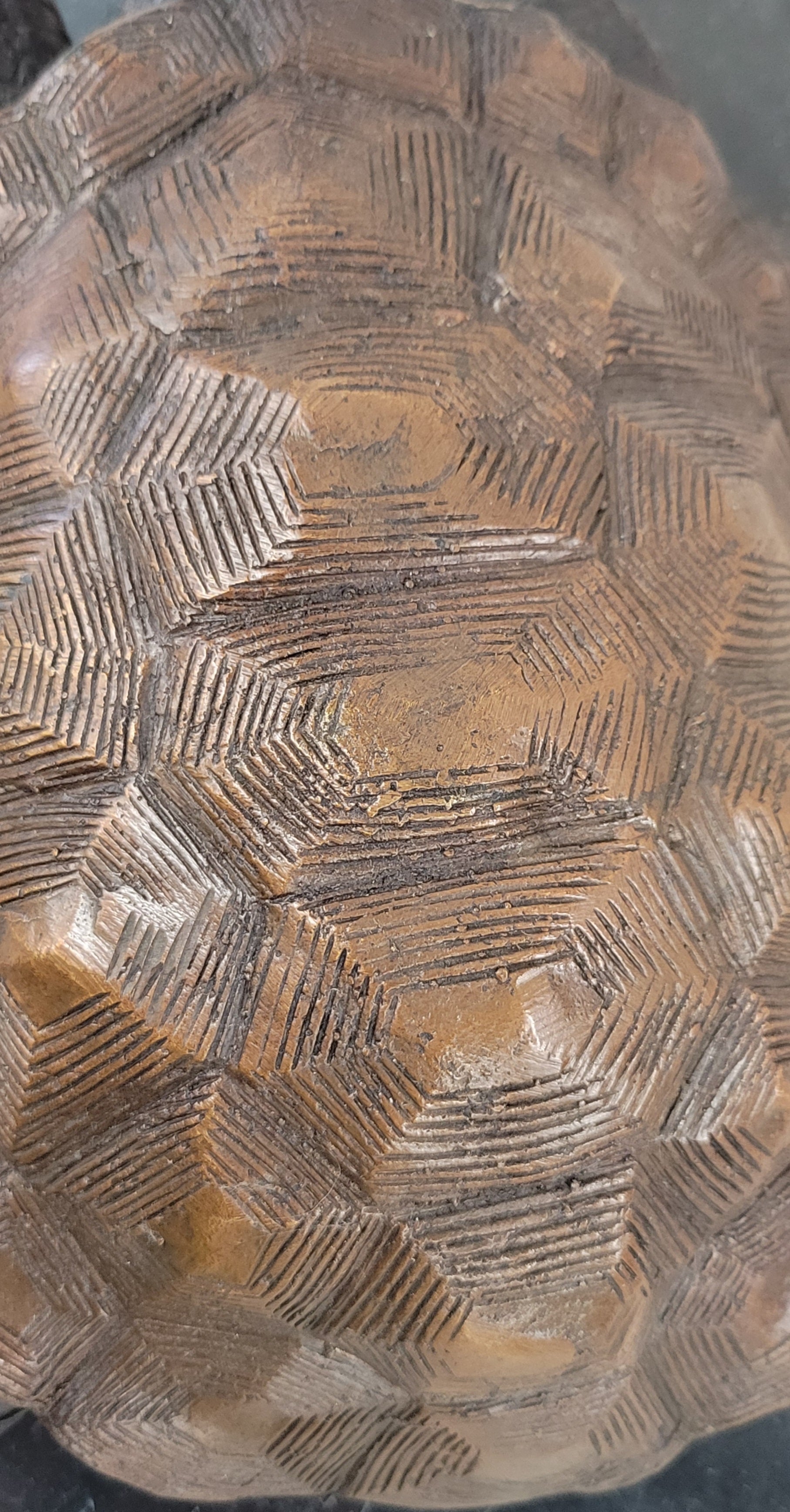 Limited Edition Bronze Tortoise Turtle Life Size Sculpture Statue Figure
