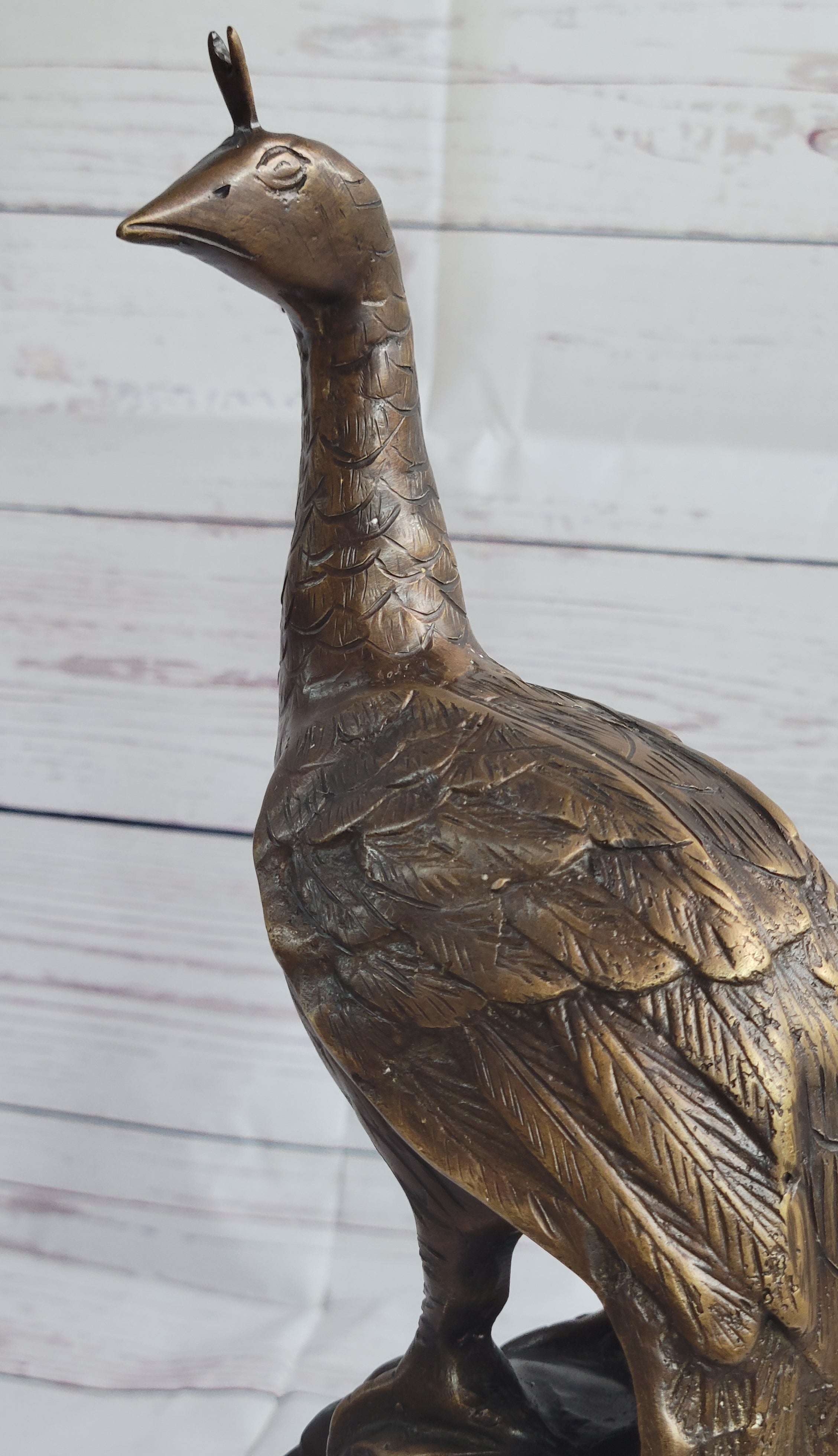 Signed Moigniez Peacock Bird Zoo Animal Wild Life Bronze Sculpture Art 14" x 8"