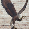 American Bald Eagle Bronze Statue Sculpture Figure by Moigniez 22" x 17"