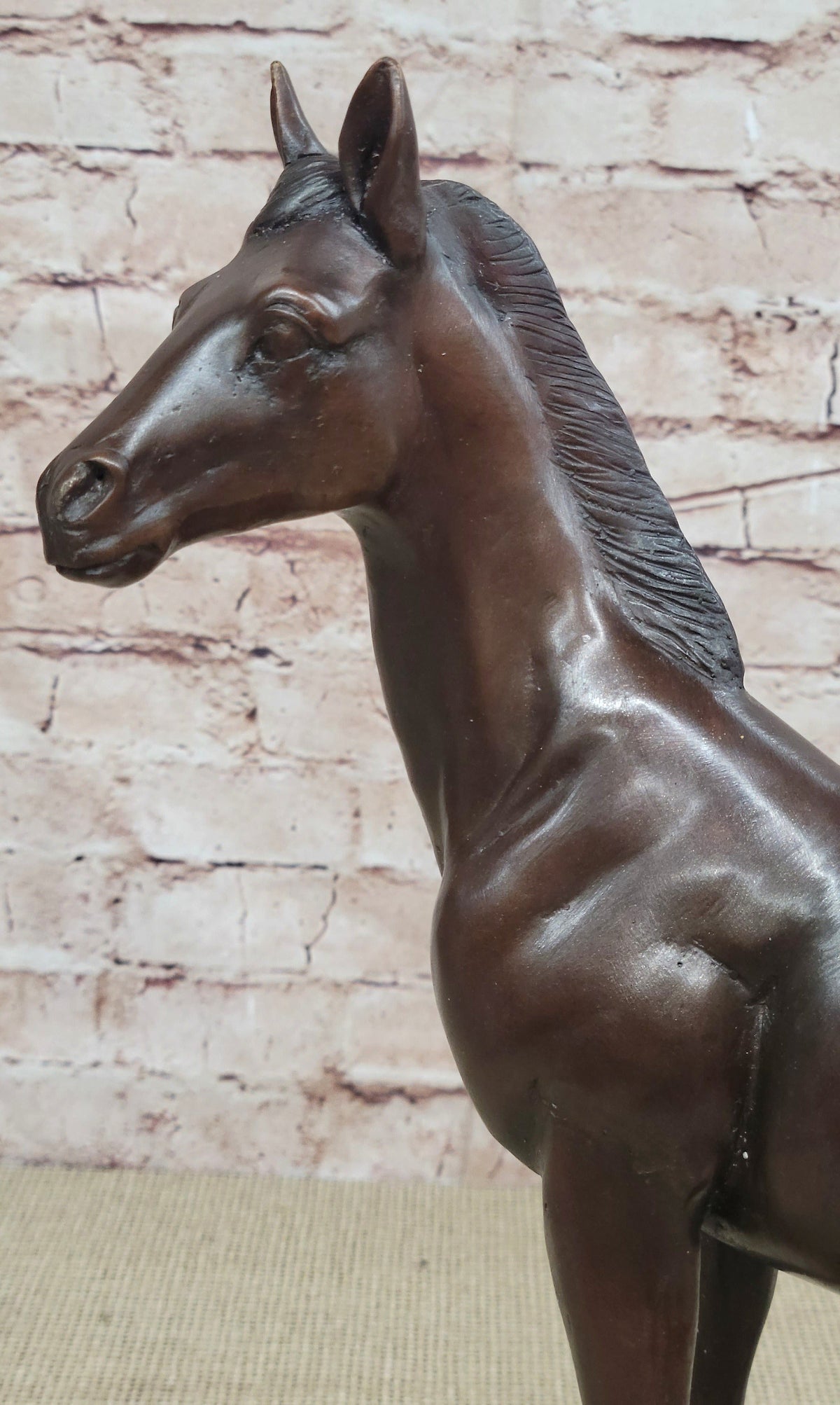 Bronze Standing Foal Sculpture Young Horse Statue Decor