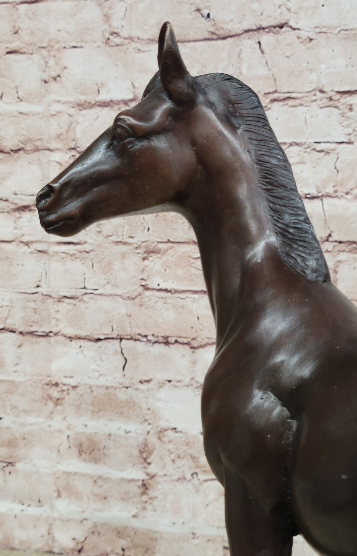 Bronze Standing Foal Sculpture Young Horse Statue Decor