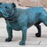 English Bulldog Bronze Metal Figurine Sculpture Original Art Collectible Blue Patina