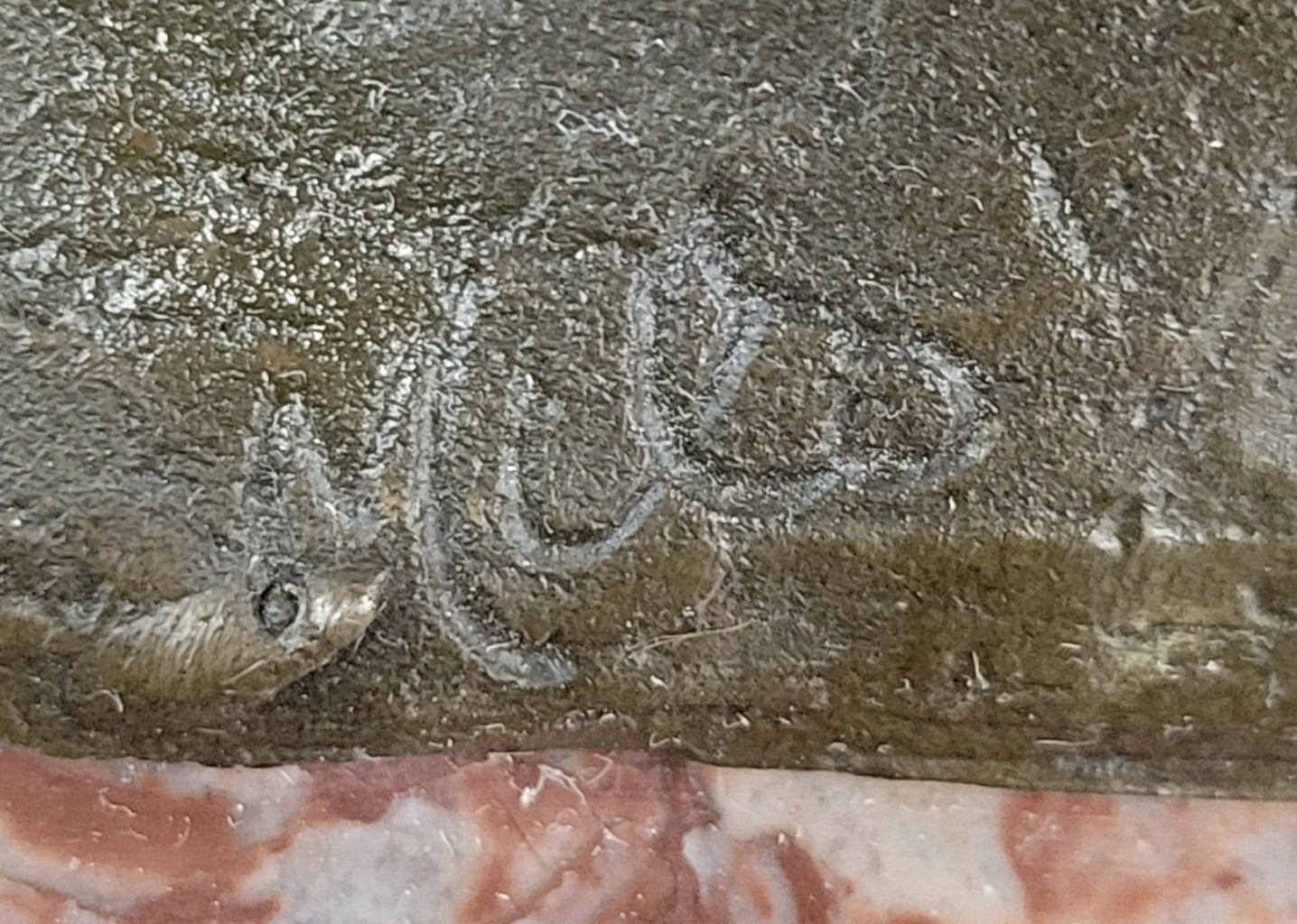 Milo Watchful Owl on Branch; Intricately Detailed Bronze Sculpture with Marble Base