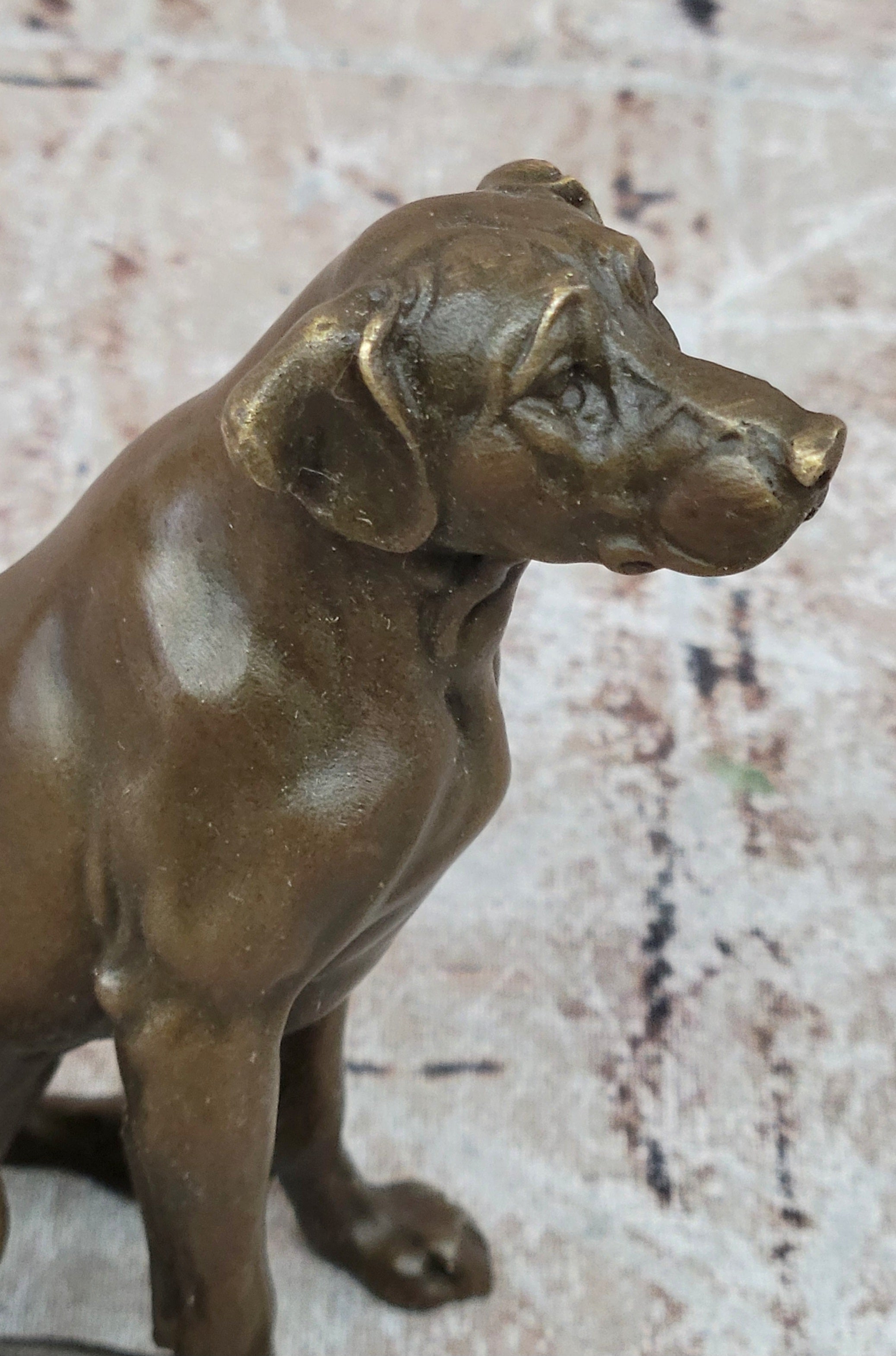 Seated Bronze Hunting Dog; Detailed Canine Sculpture for Animal Lovers