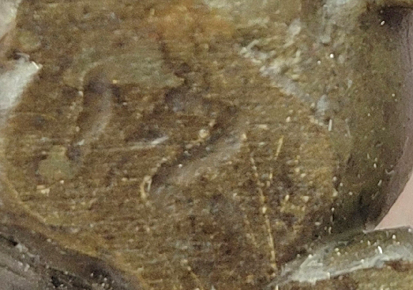 Seated Bronze Hunting Dog; Detailed Canine Sculpture for Animal Lovers