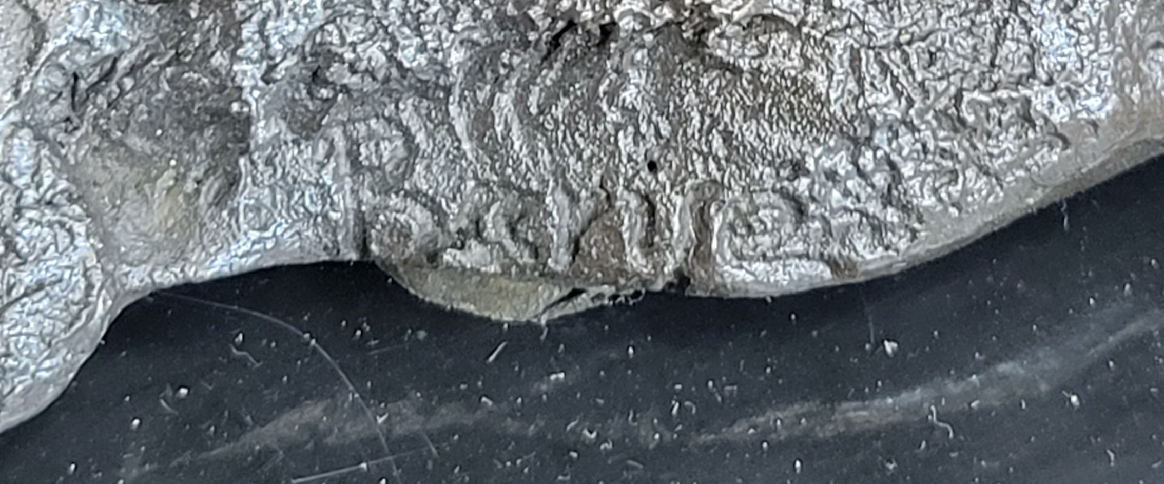 Signed Vienna Bronze Marble Leopard Panther Cat Statue Sculpture Figurine