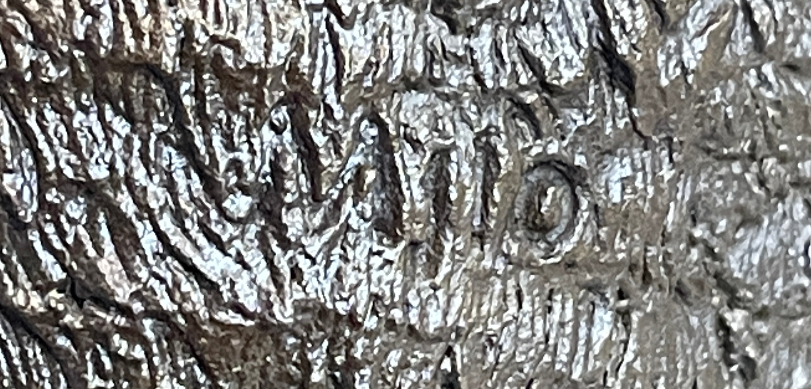 Young Cubs on back Mother Bear 100% Solid Bronze Statue Sculpture Figurine