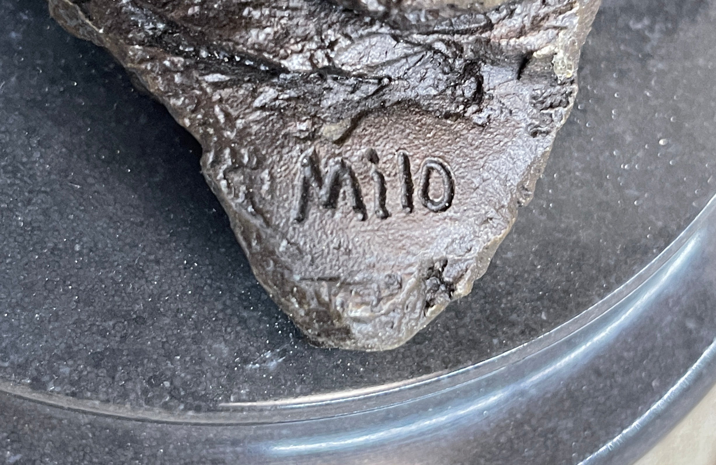 Original Striking Massive Elephant Head Bust with Baby Bronze Sculpture Statue