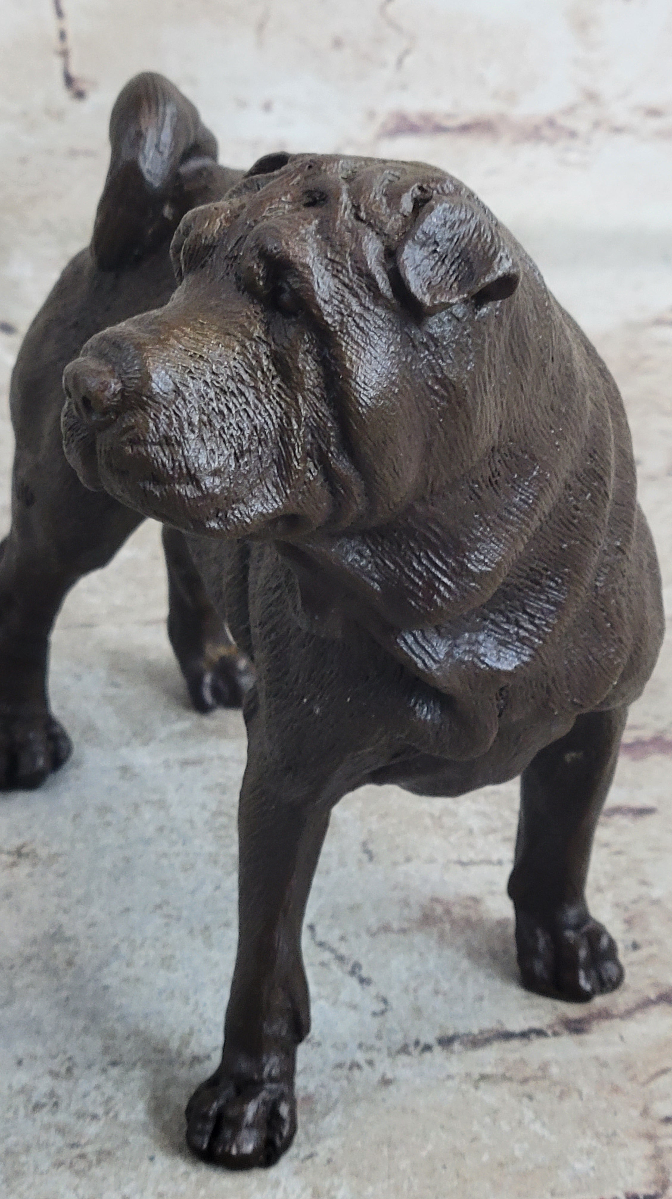 Hot Cast Bronze Shar Pei Dog Sculpture Statue Figurine Original Art