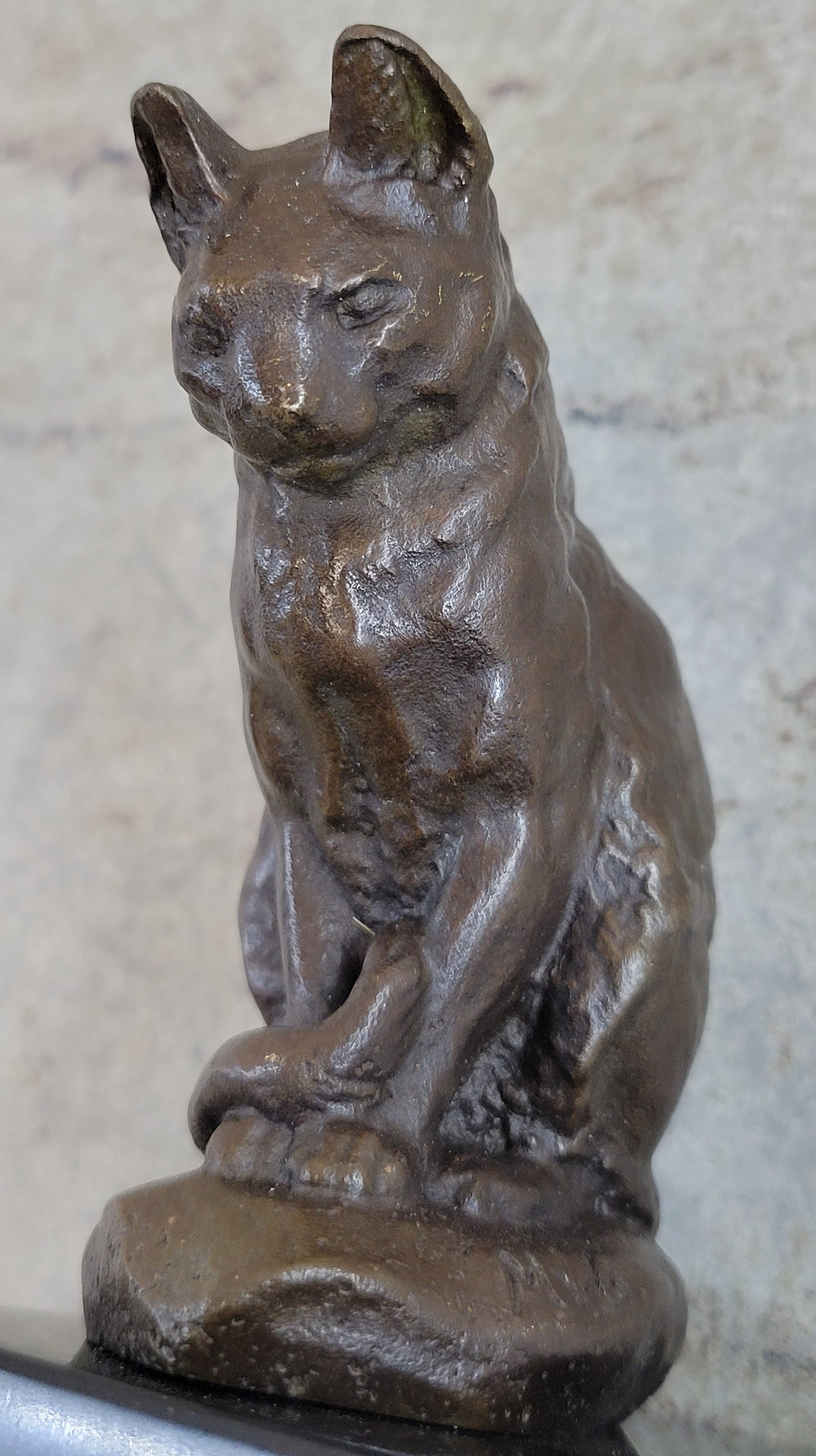Signed Original House Cat Hot Cast Bronze Statue Sculpture Figurine Home Decor
