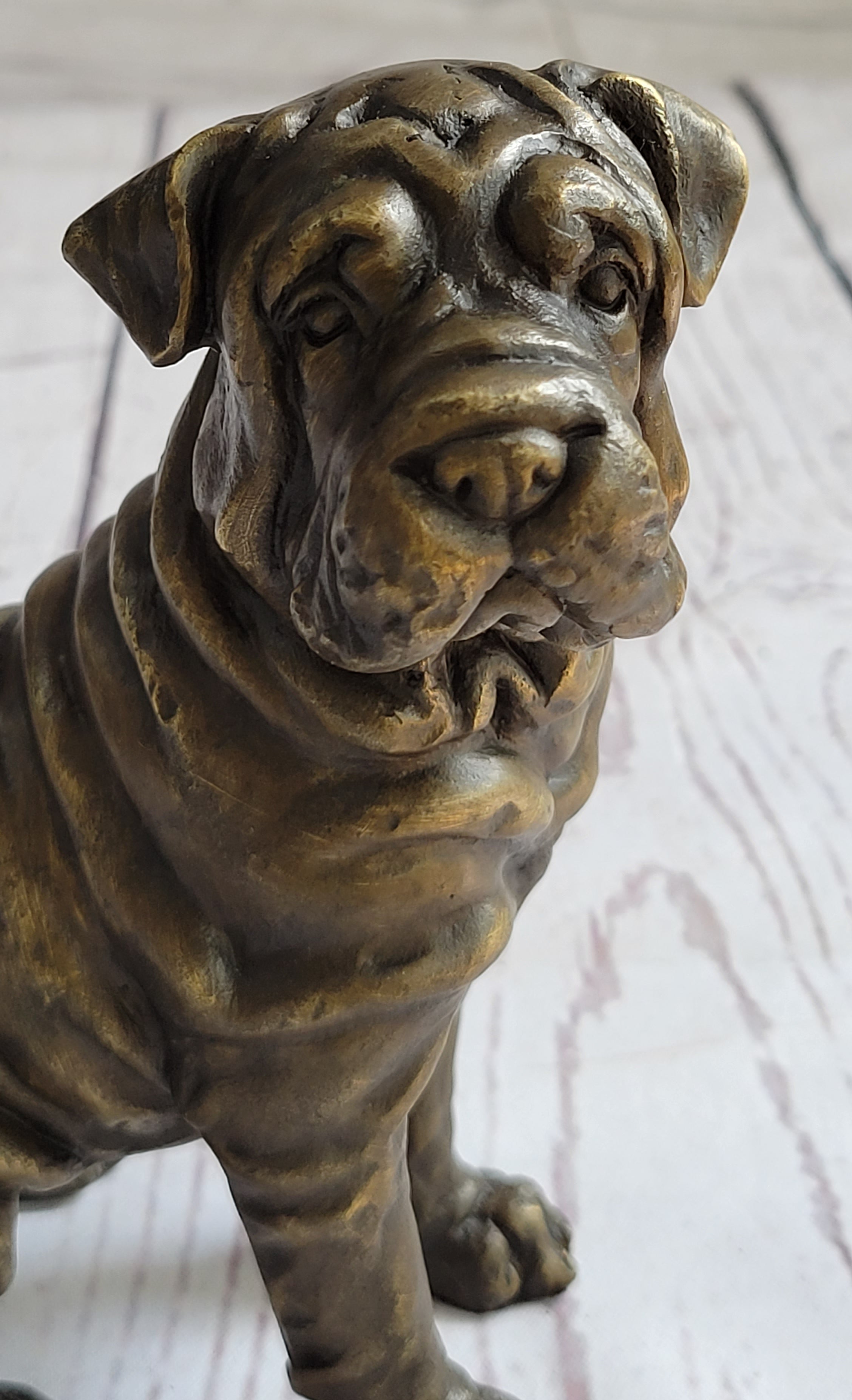 Shar Pei Wrinkly Puppy Dog Bronze Metal Figure Figurine Sculpture Signed Art 6.5" x 6"