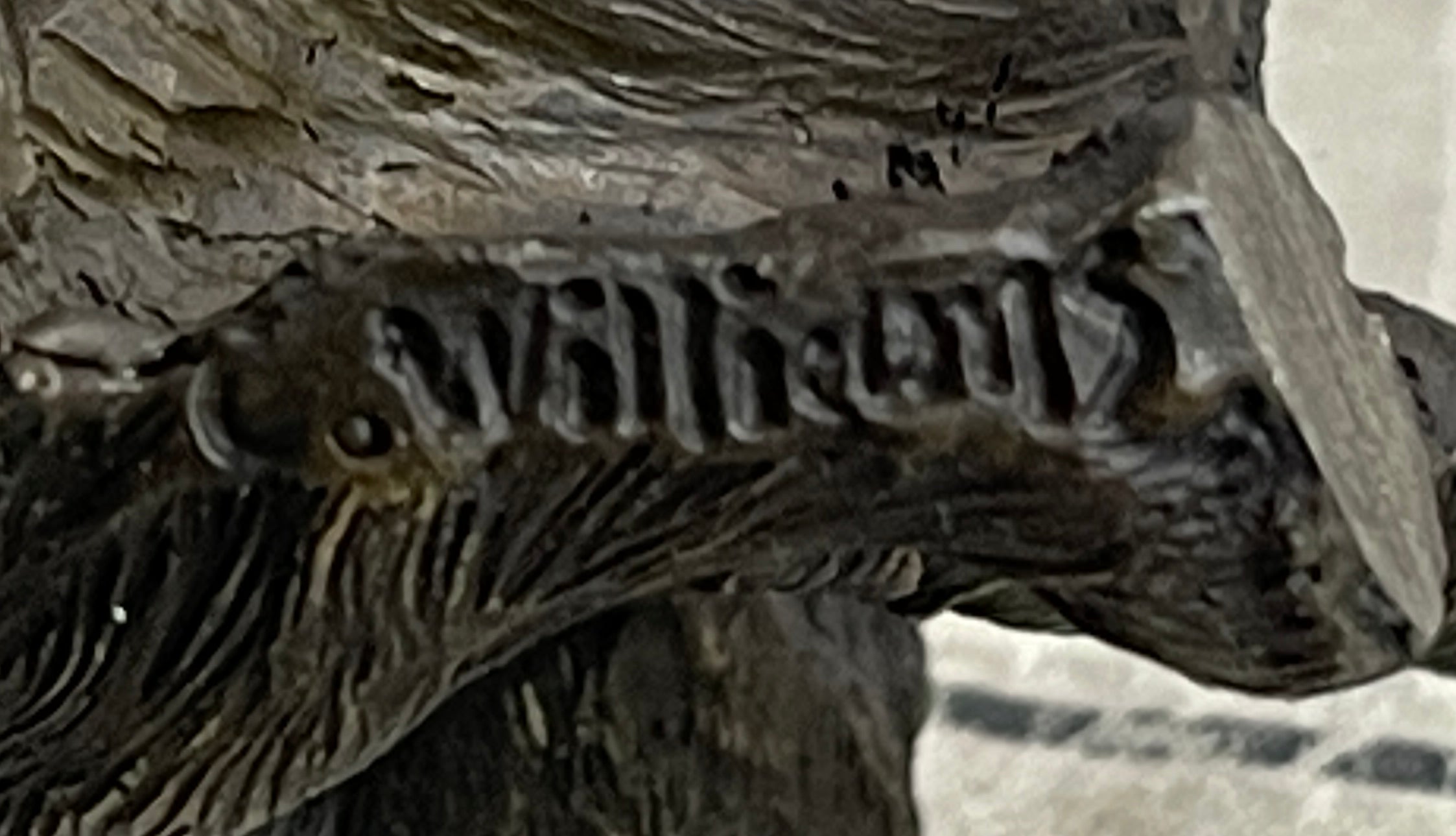 Cavalier King Charles Spaniel Puppy Dog Bronze Metal Sculpture Statue Figurine